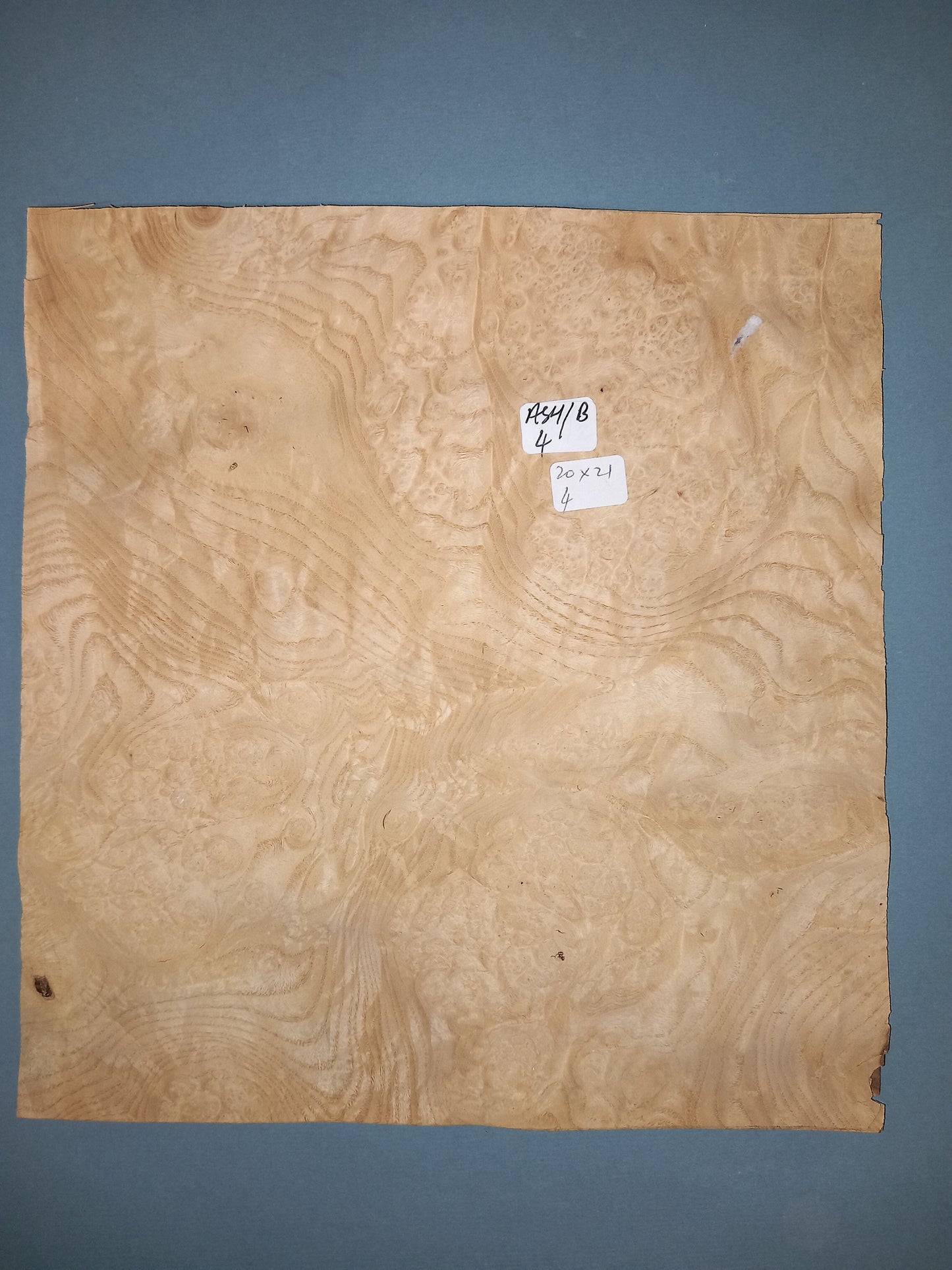 CONSECUTIVE SHEETS OF ASH BURR VENEER 20 X 21 CM