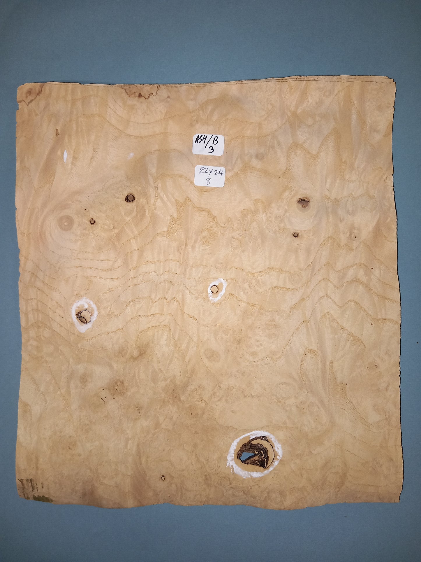 CONSECUTIVE SHEETS OF ASH BURR VENEER 22 X 24 CM