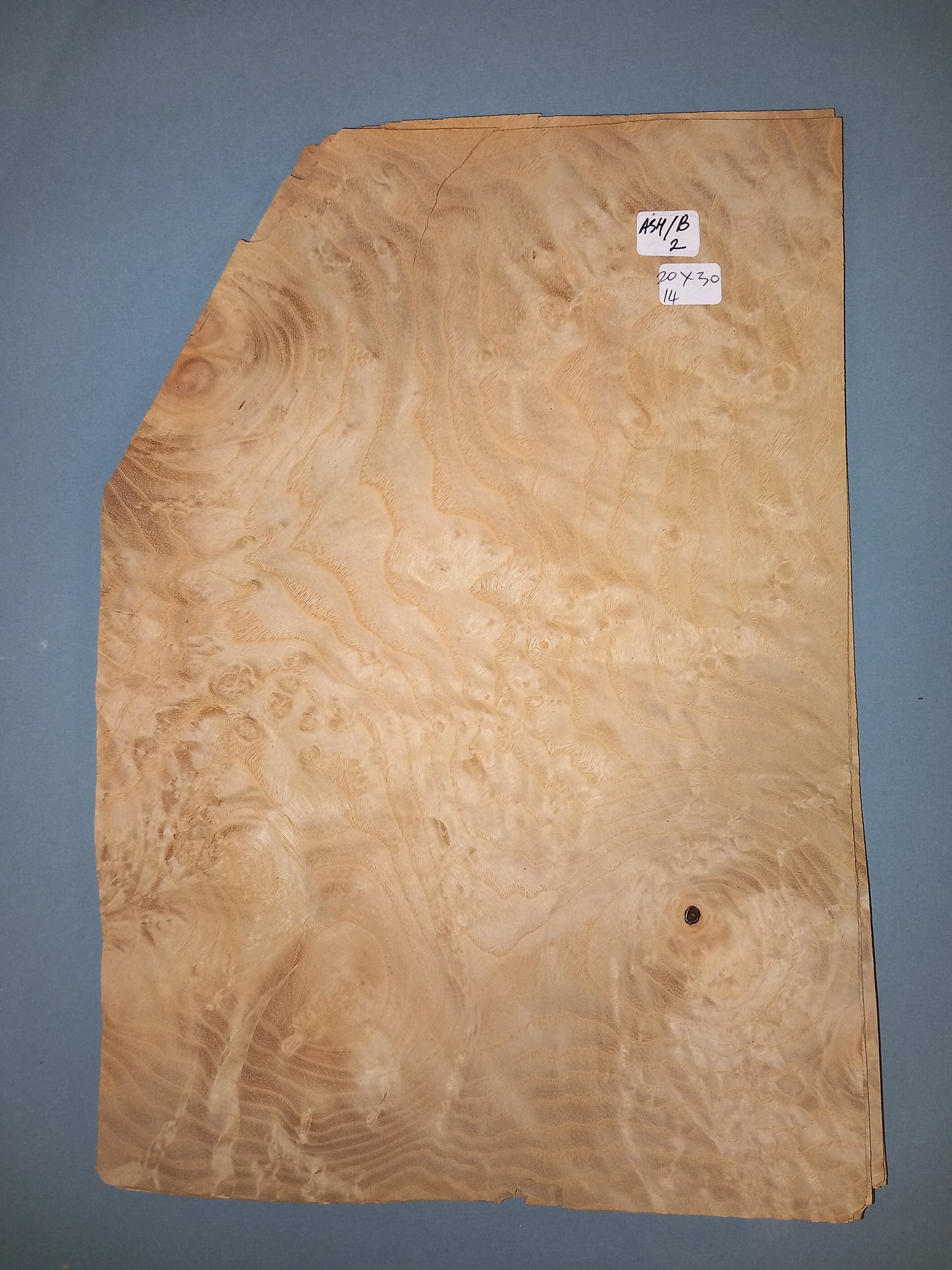 CONSECUTIVE SHEETS OF ASH BURR VENEER 20 X 30 CM