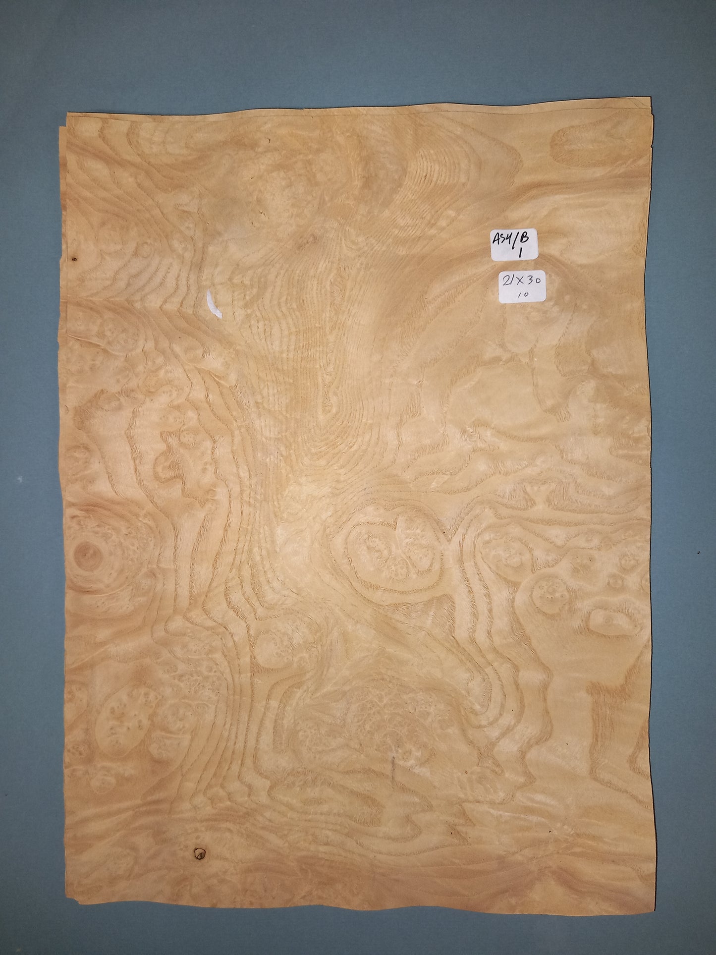 CONSECUTIVE SHEETS OF ASH BURR VENEER 21 X 30 CM