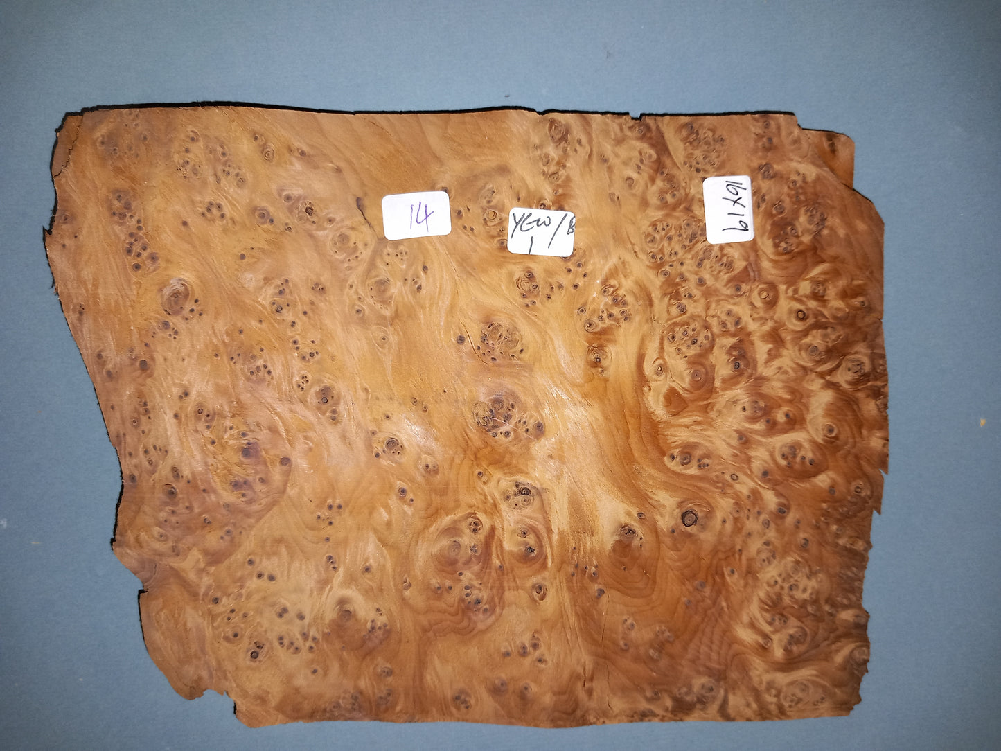 YEW BURR - 1 CONSECUTIVE SHEET 16x19cm