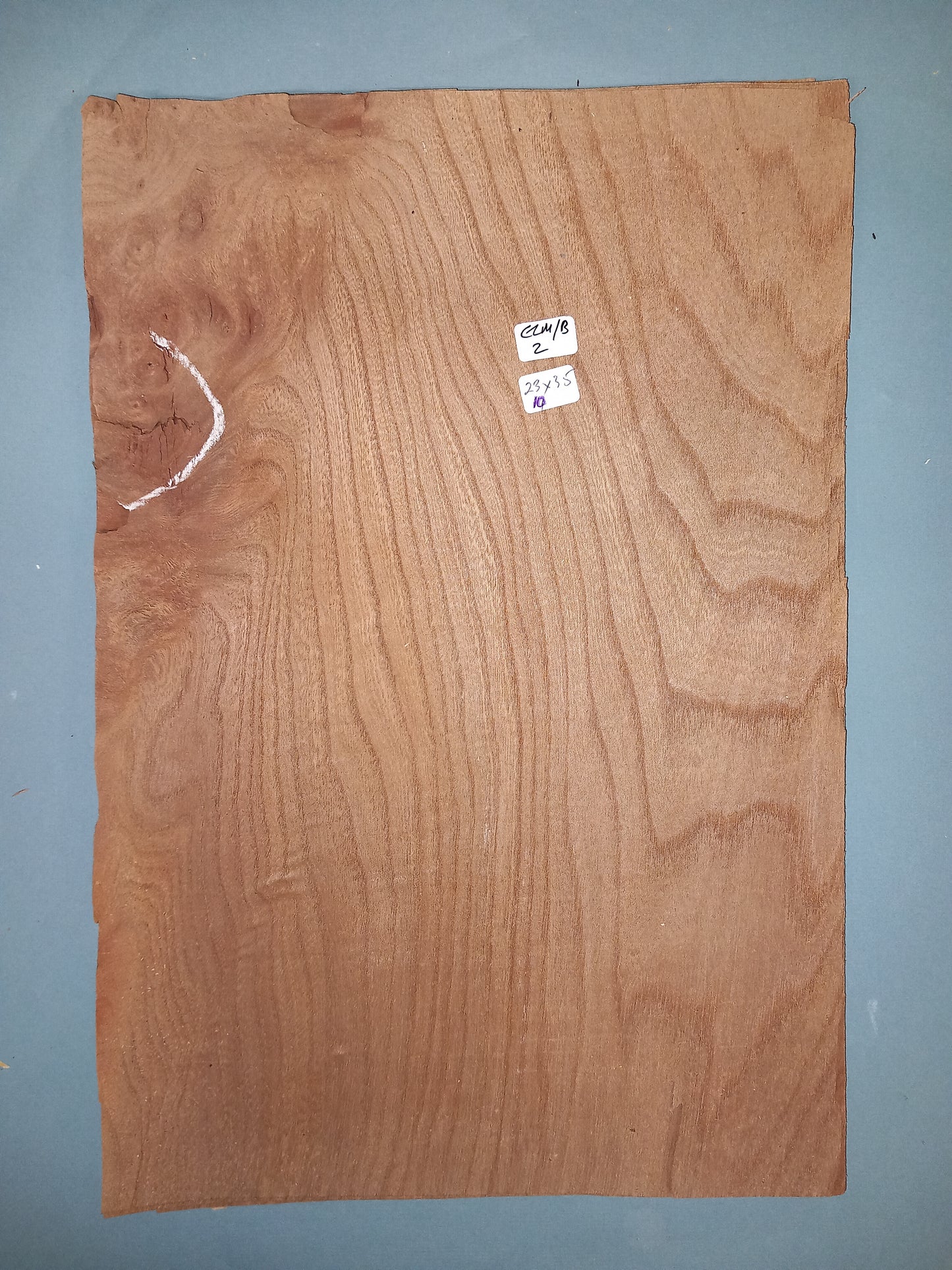 CONSECUTIVE SHEETS OF ELM BURR VENEER 23 X 35 CM