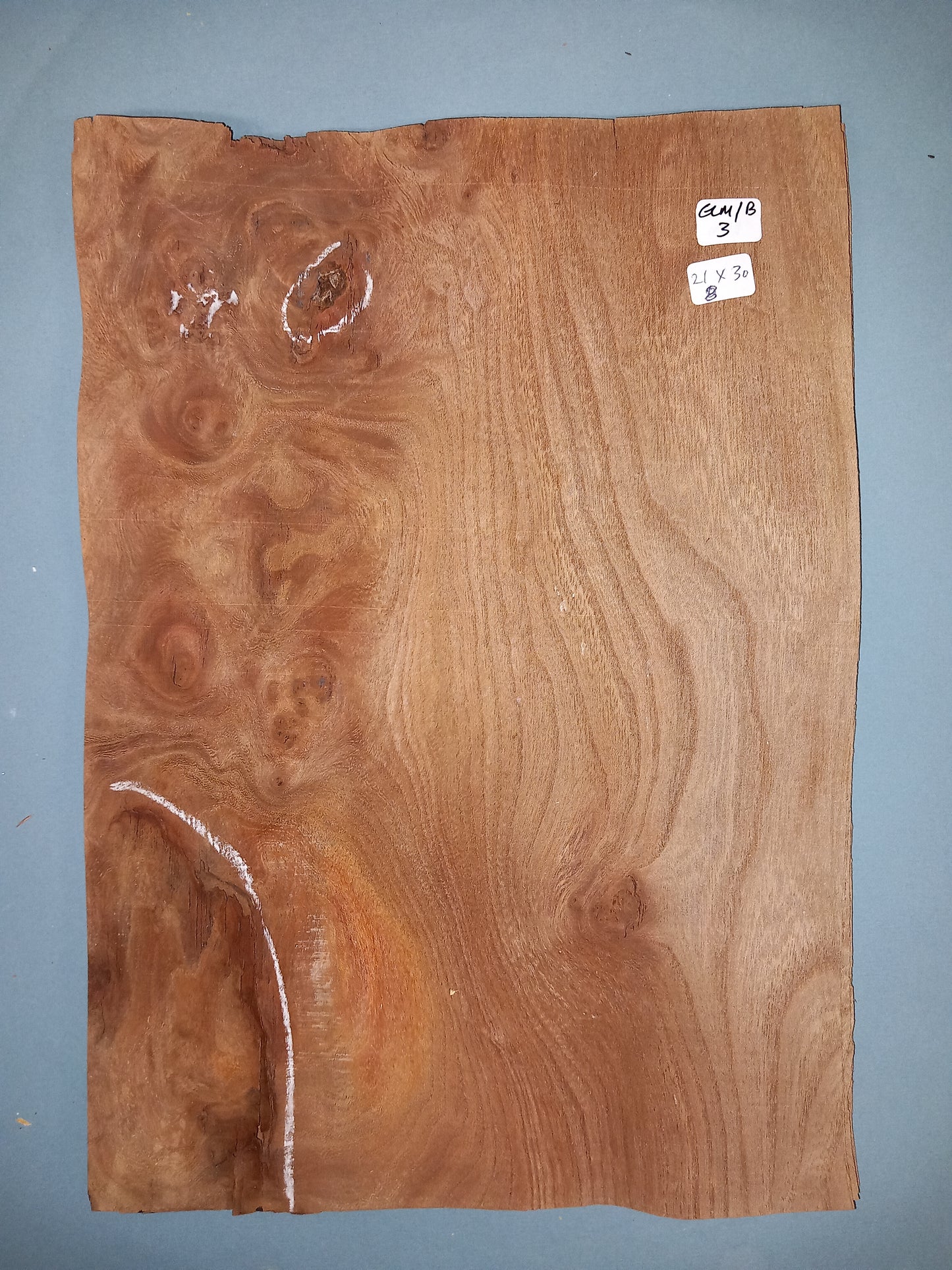 CONSECUTIVE SHEETS OF ELM BURR VENEER 21 X 30 CM