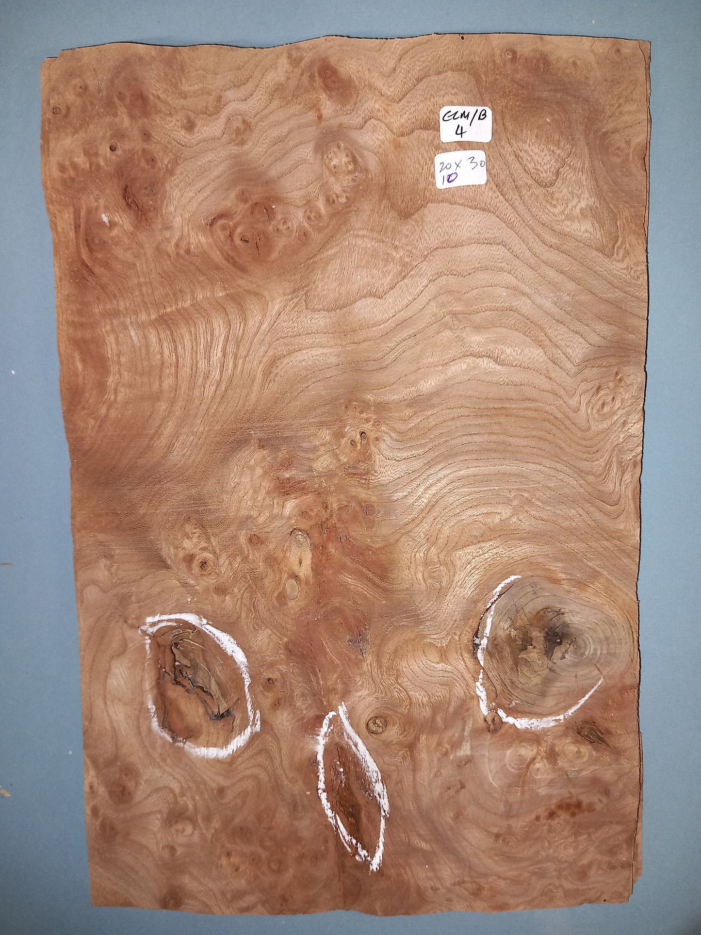 CONSECUTIVE SHEETS OF ELM BURR VENEER 20 X 30 CM