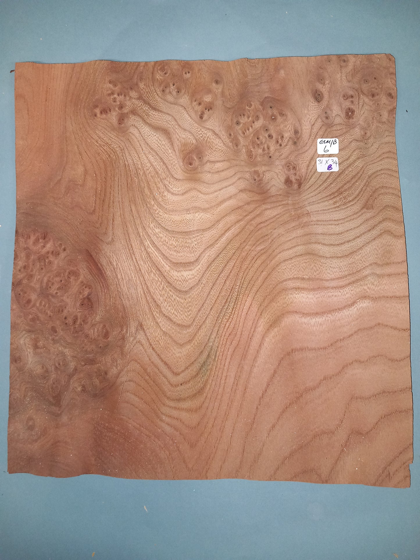 CONSECUTIVE SHEETS OF ELM BURR VENEER 31 X 34 CM