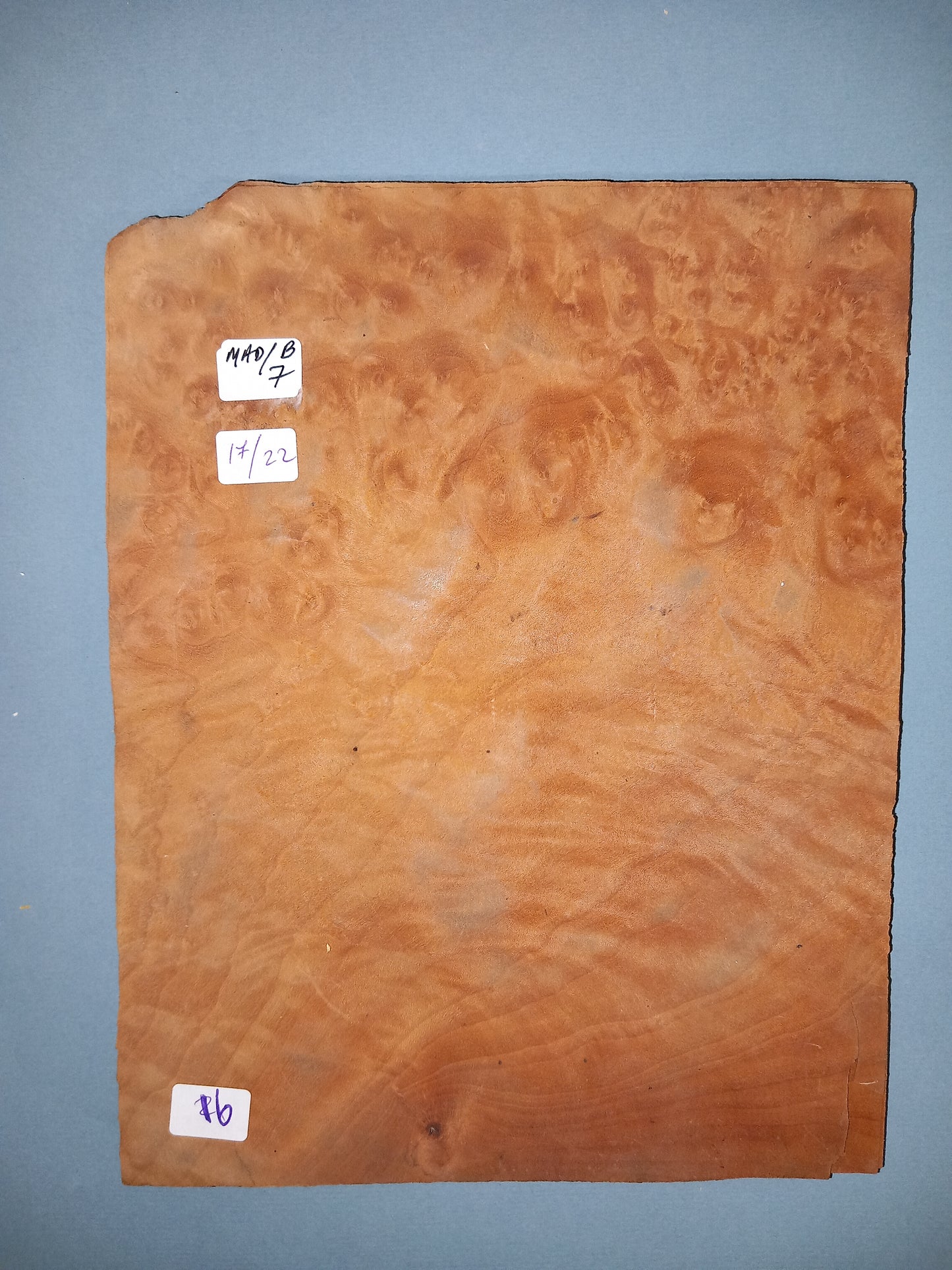 CONSECUTIVE SHEETS OF MADRONE BURR VENEER 17 X 22 CM