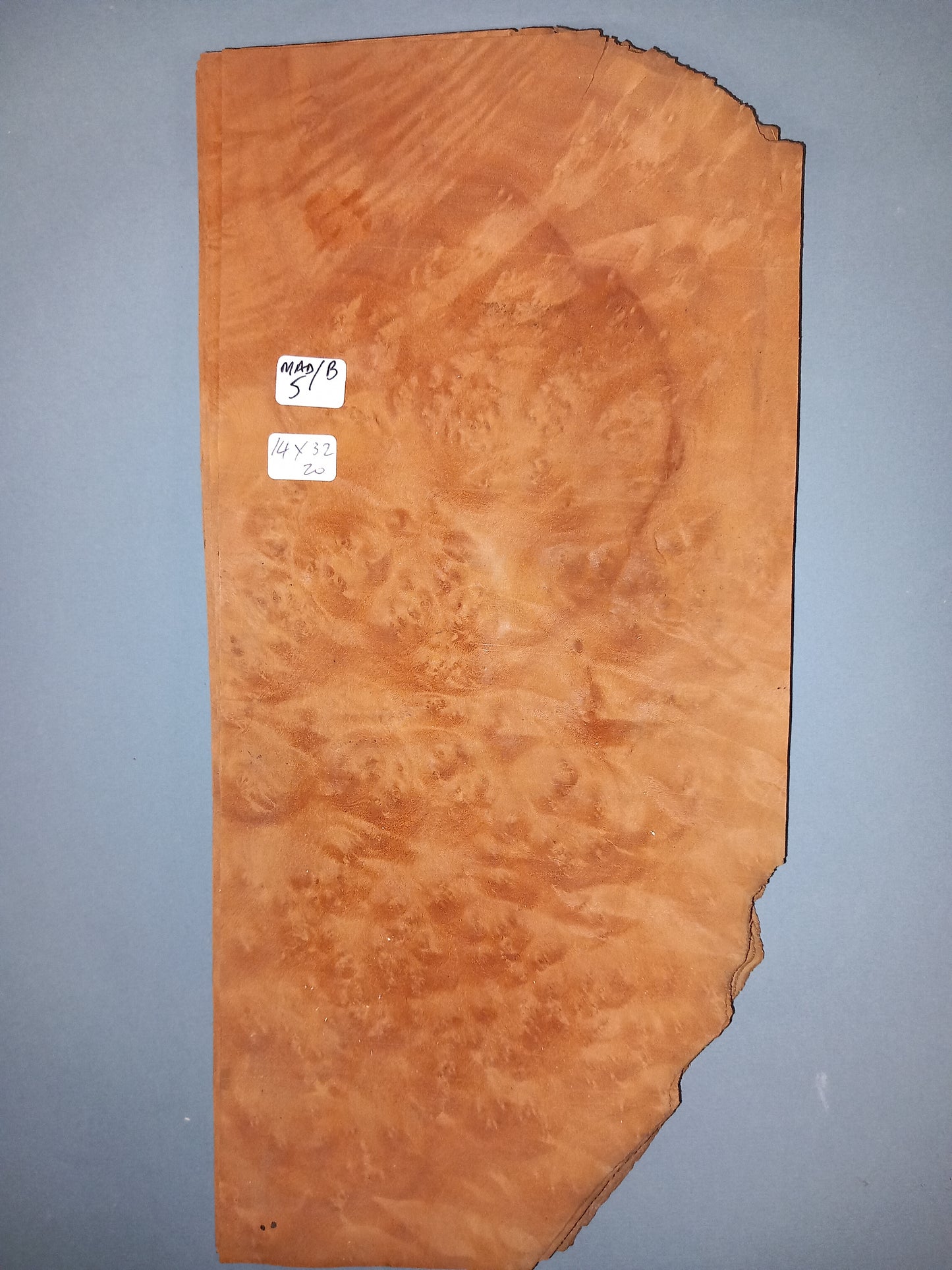 MADRONE BURR - 1 CONSECUTIVE SHEET 14x32cm