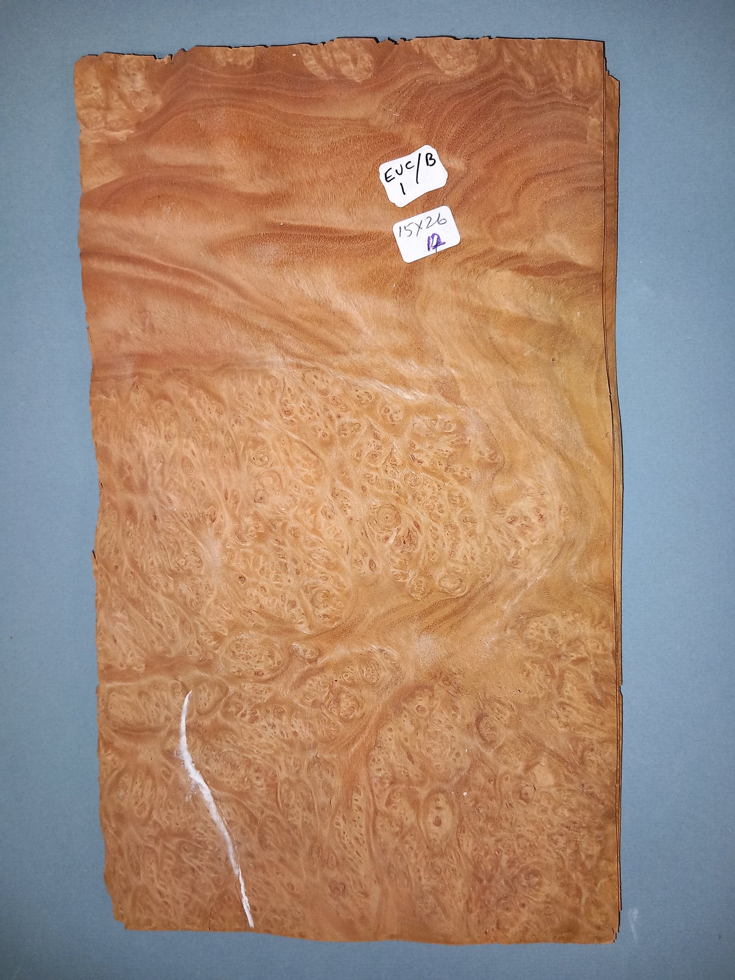 CONSECUTIVE SHEETS OF EUCALYPTUS BURR VENEER 15 X 26 CM