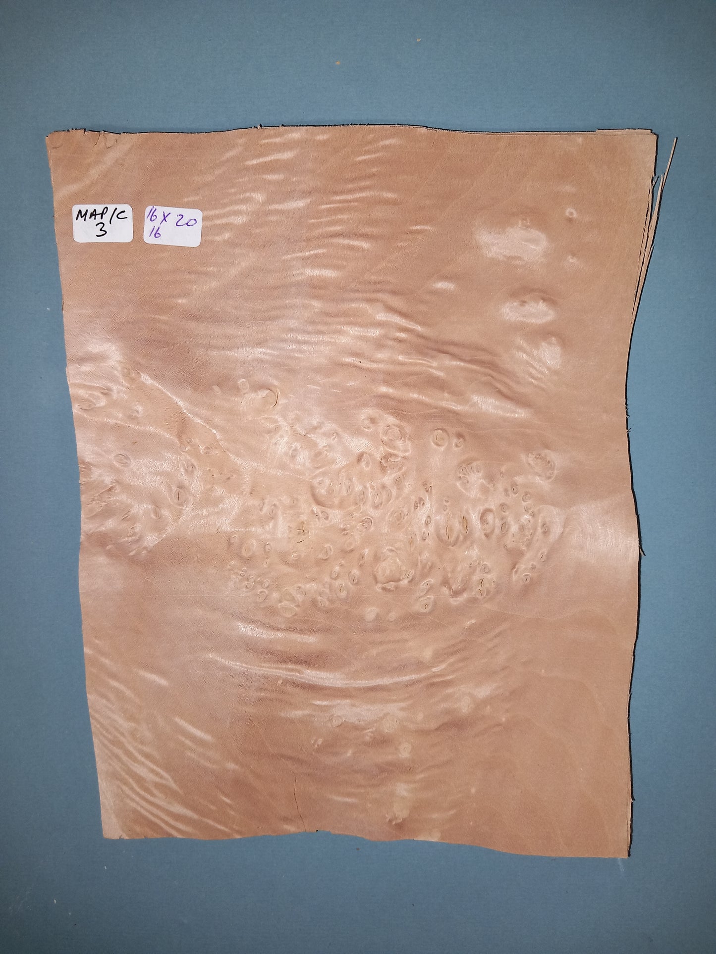 CONSECUTIVE SHEETS OF MAPLE CLUSTER VENEER 16 X 20 CM