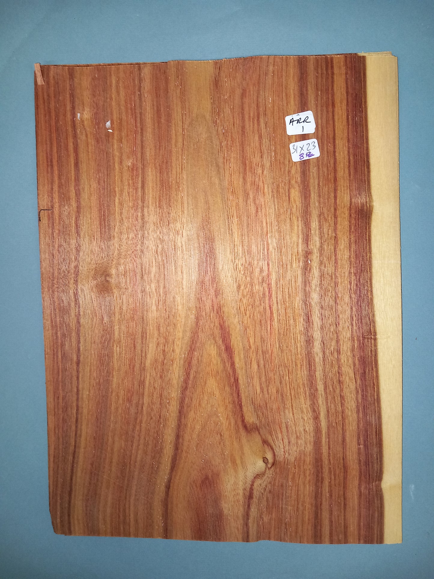 ARGENTINE ROSEWOOD - 1 CONSECUTIVE SHEET 31x23cm