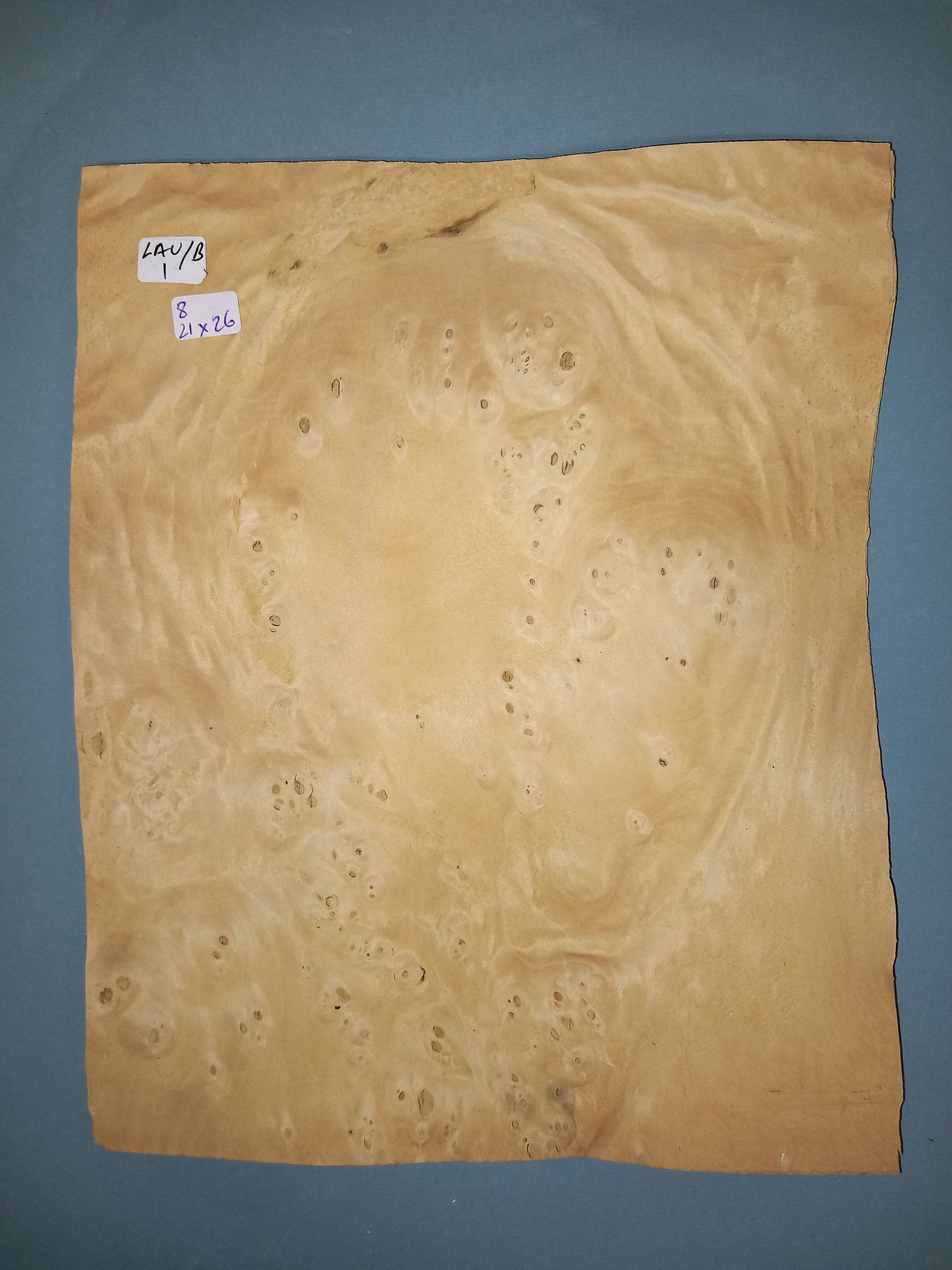 CONSECUTIVE SHEETS OF LAUREL BURR VENEER 21 X 26 CM