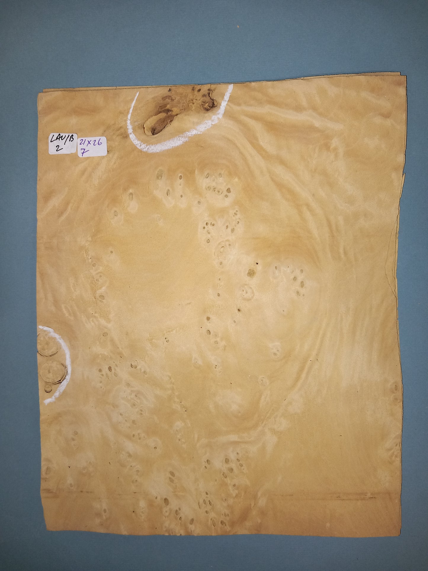 CONSECUTIVE SHEETS OF LAUREL BURR VENEER 21 X 26 CM