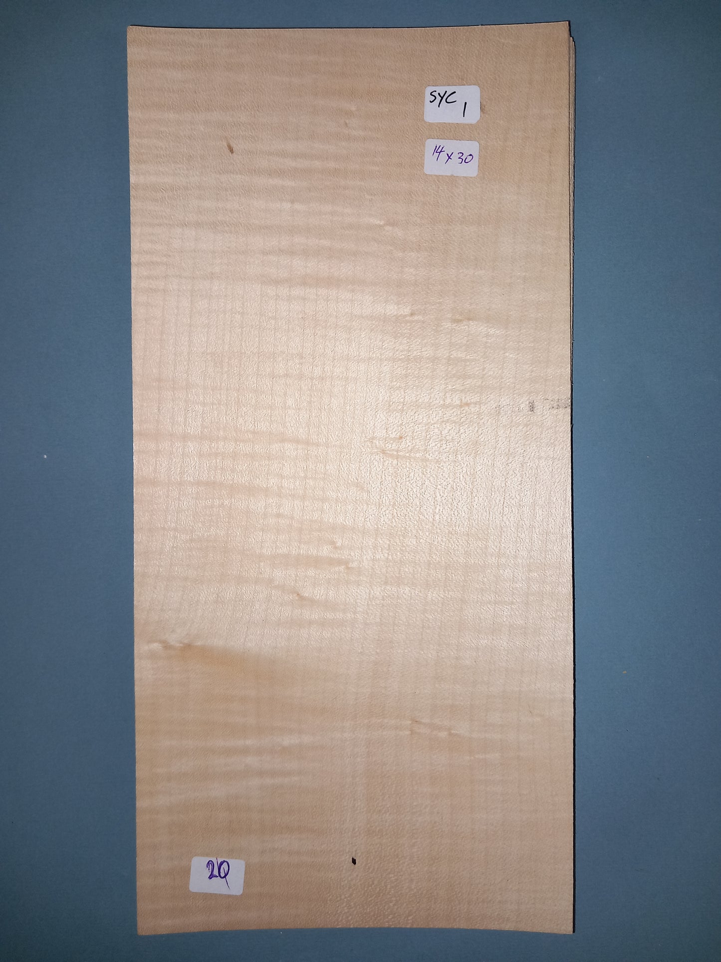 CONSECUTIVE SHEETS OF SYCAMORE VENEER 14 X 30 CM
