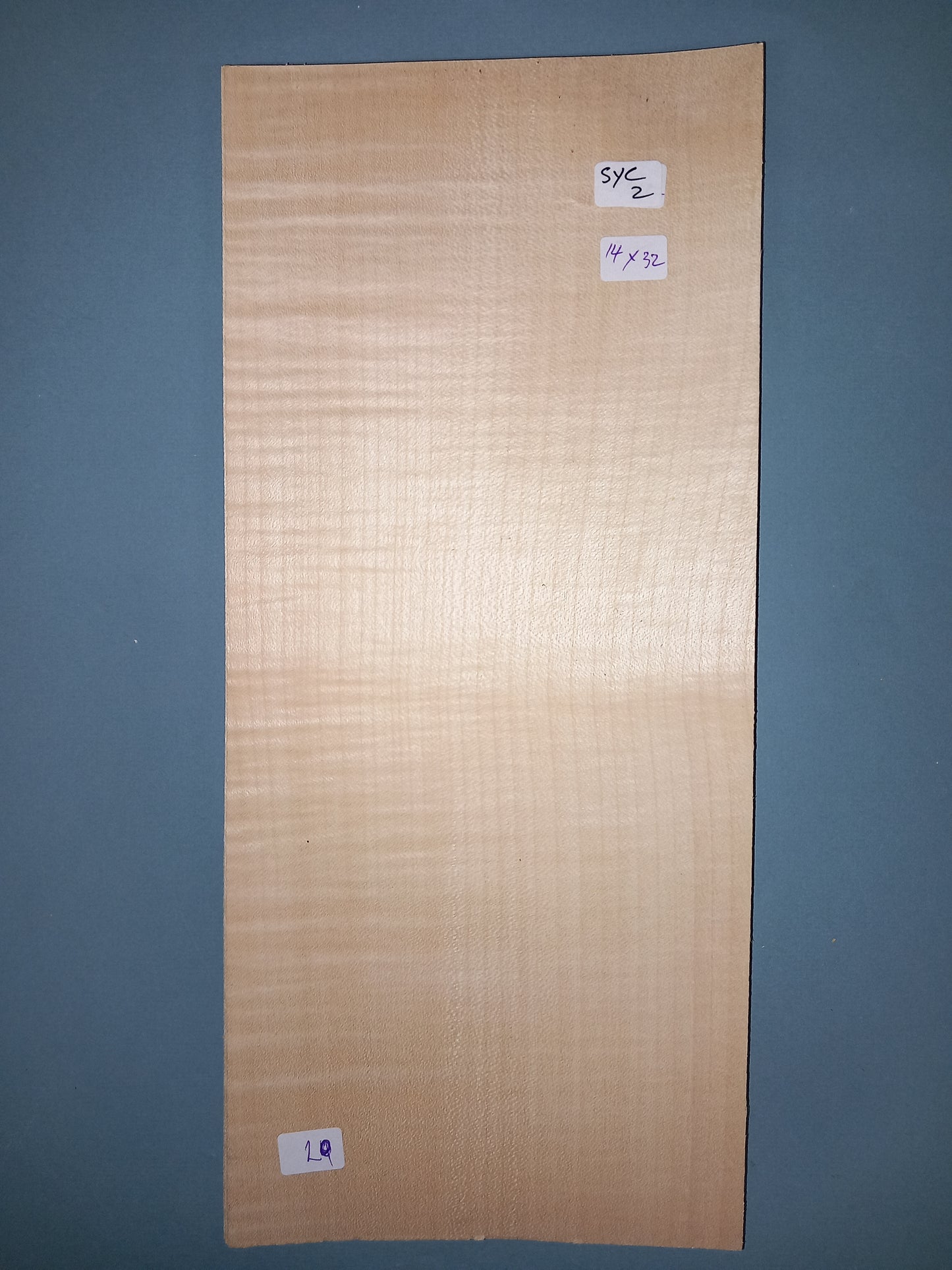CONSECUTIVE SHEETS OF SYCAMORE VENEER 14 X 32 CM