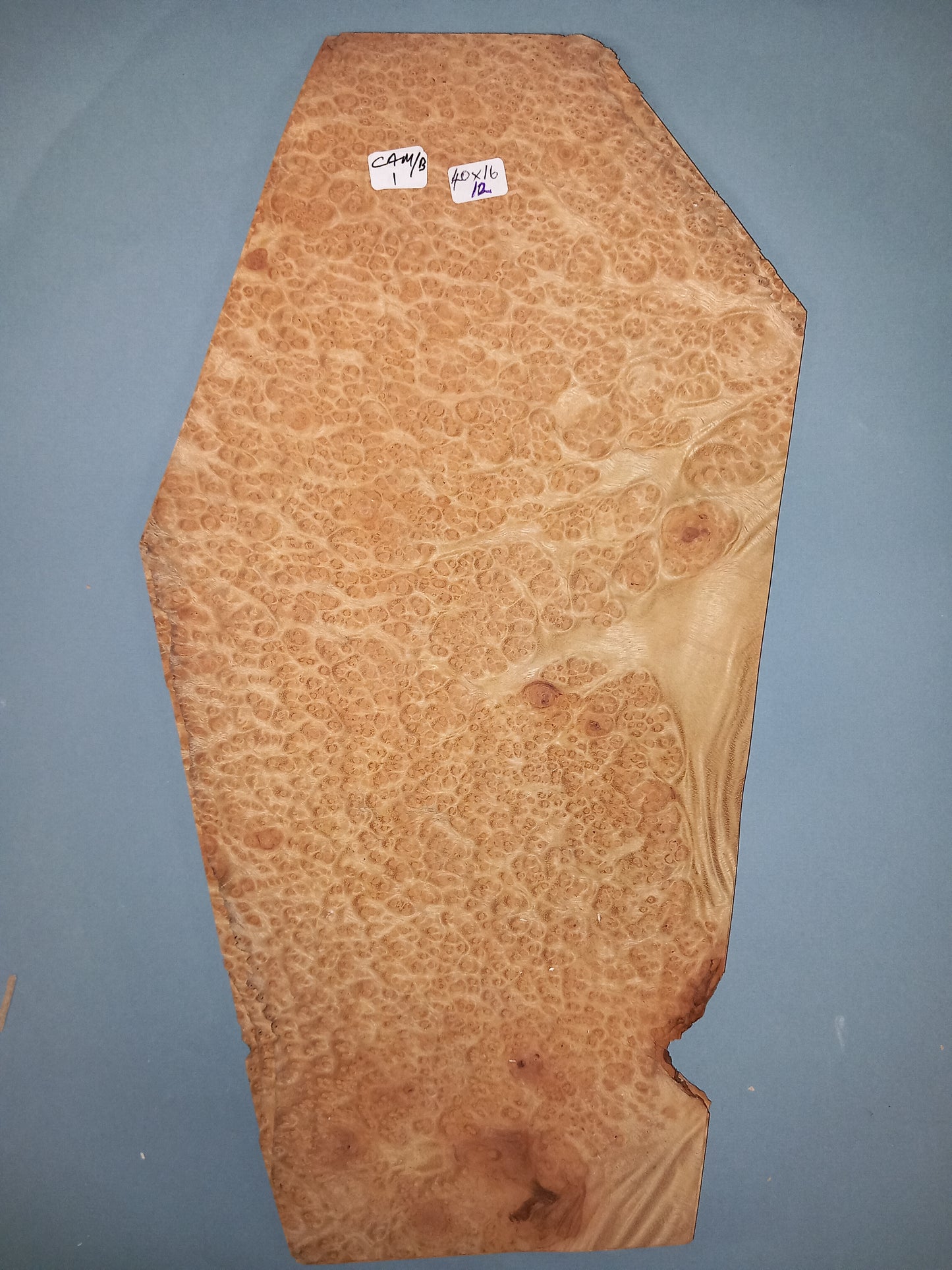 CONSECUTIVE SHEETS OF CAMPHOR BURR VENEER 40 X 16 CM