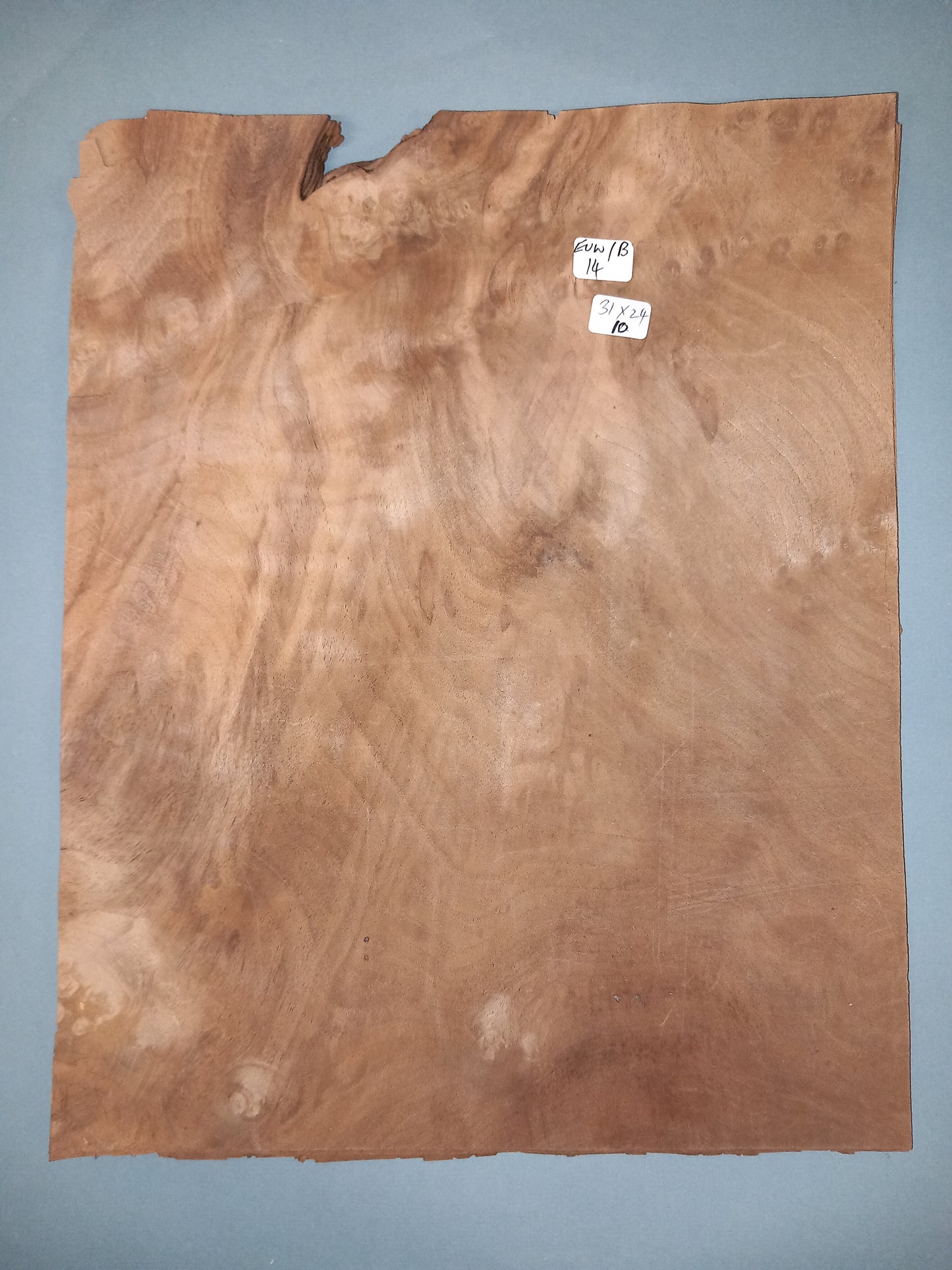 CONSECUTIVE SHEETS OF EUROPEAN WALNUT BURR VENEER 31 X 24 CM
