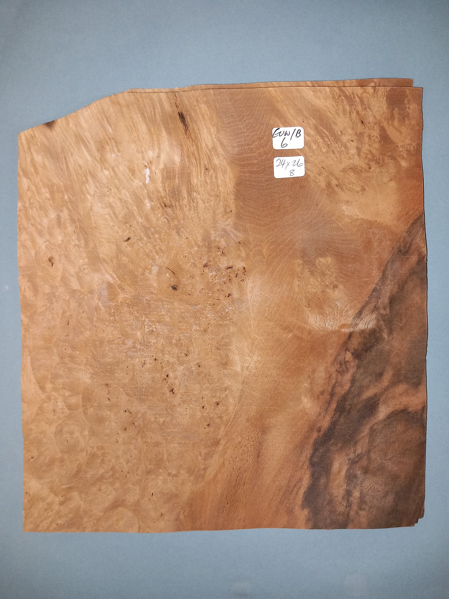 CONSECUTIVE SHEETS OF EUROPEAN WALNUT BURR VENEER 24 X 26 CM