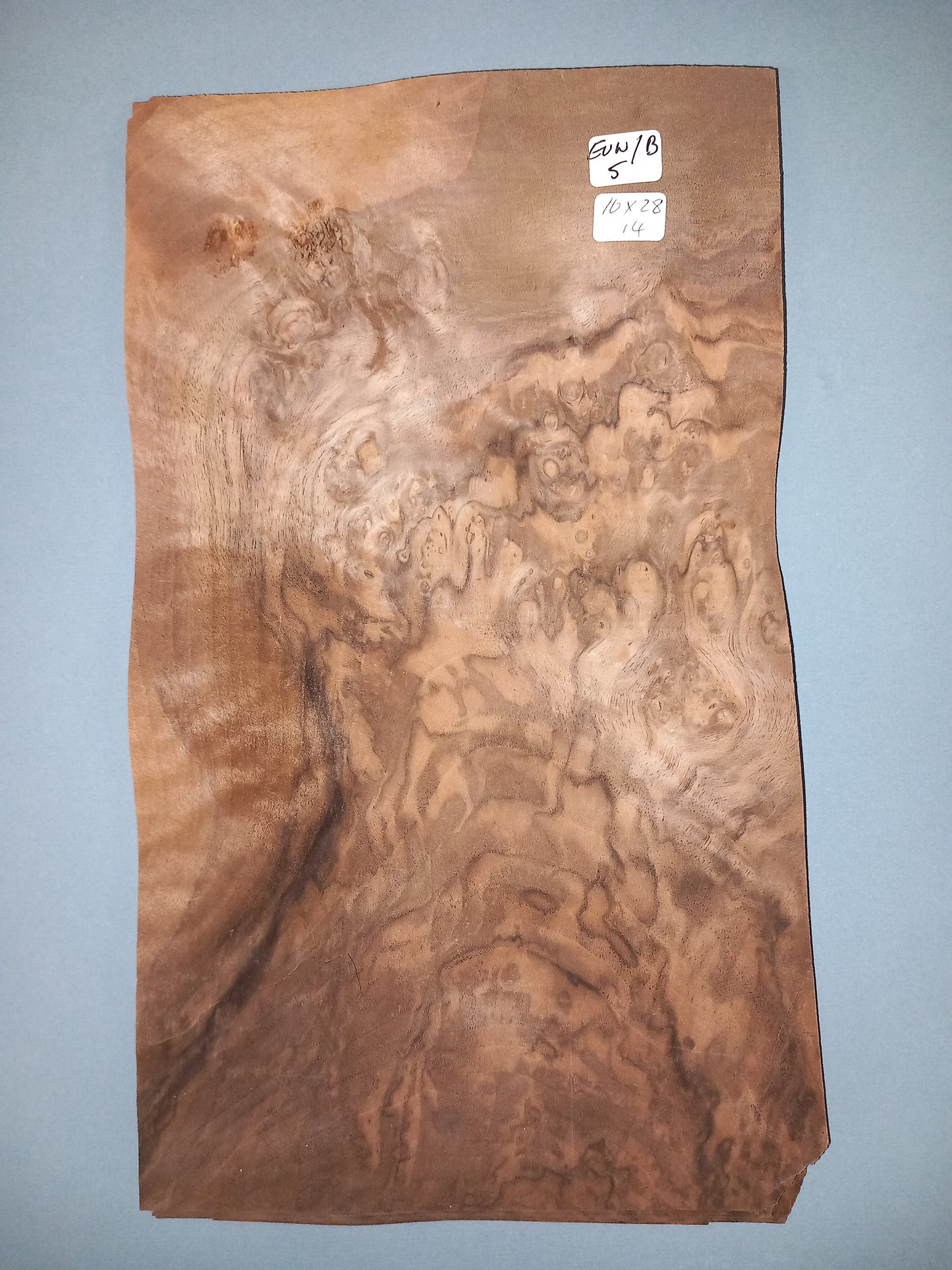 CONSECUTIVE SHEETS OF EUROPEAN WALNUT BURR VENEER 16 X 28 CM