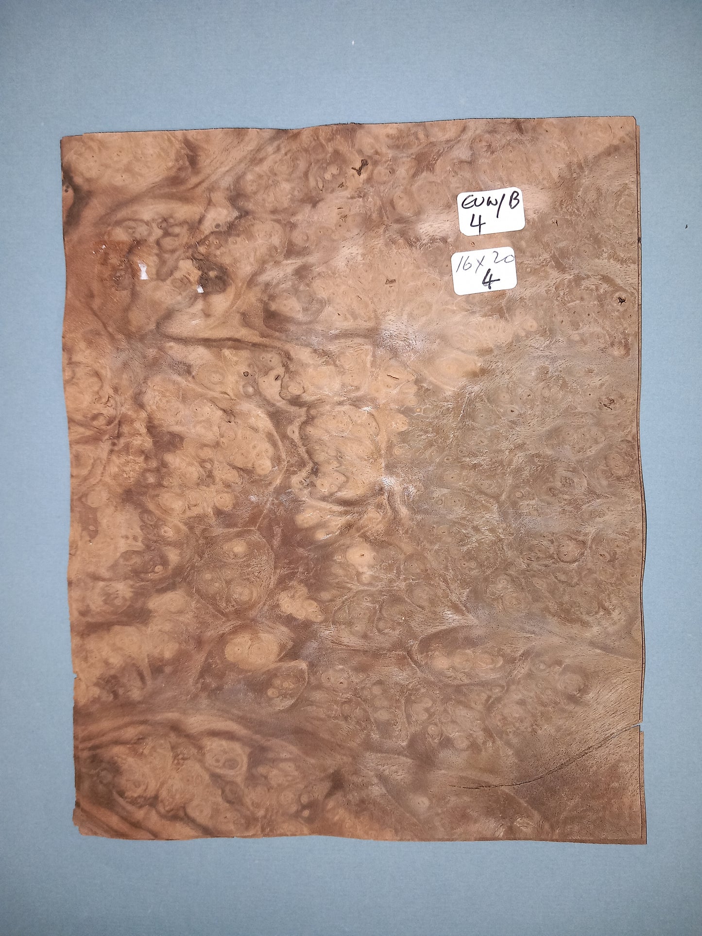 CONSECUTIVE SHEETS OF EUROPEAN WALNUT BURR VENEER 16 X 20 CM