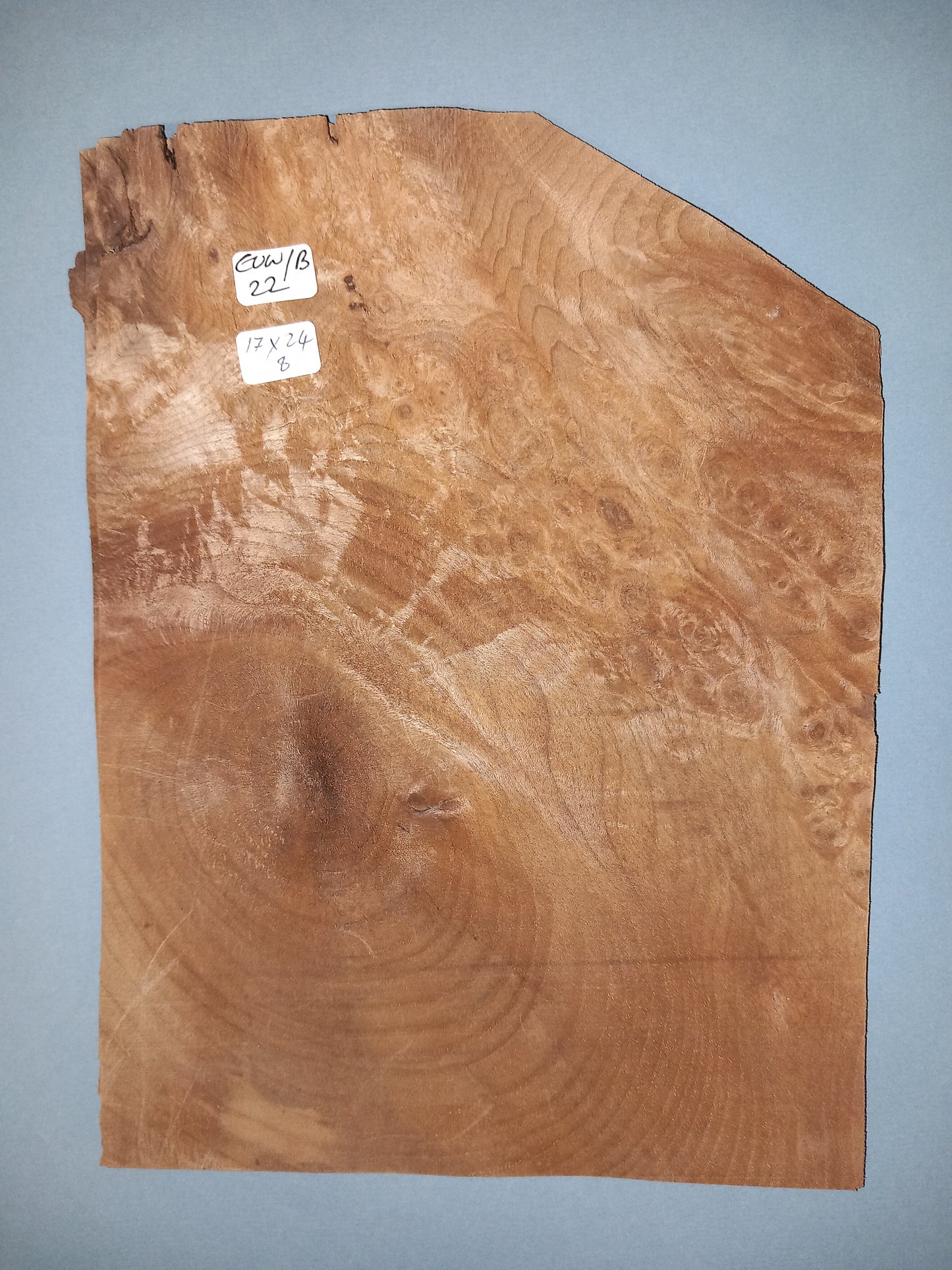 CONSECUTIVE SHEETS OF EUROPEAN WALNUT BURR VENEER 17 X 24 CM