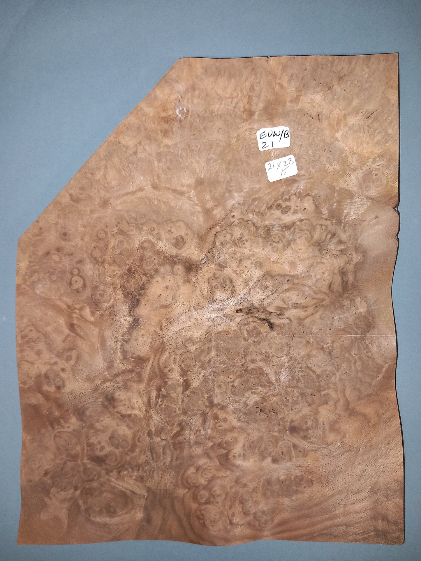 CONSECUTIVE SHEETS OF EUROPEAN WALNUT BURR VENEER 21 X 22 CM