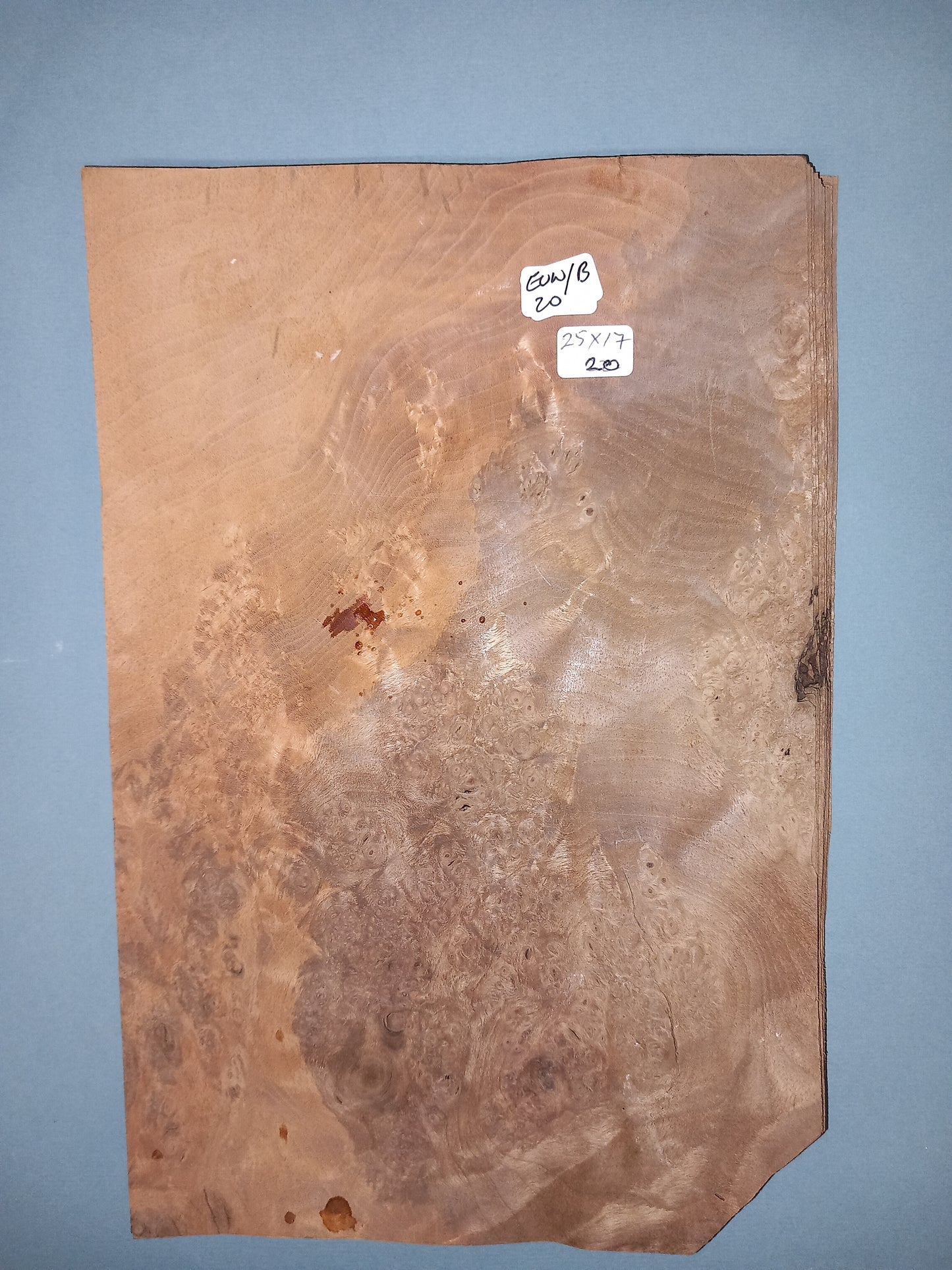CONSECUTIVE SHEETS OF EUROPEAN WALNUT BURR VENEER 25 X 17 CM