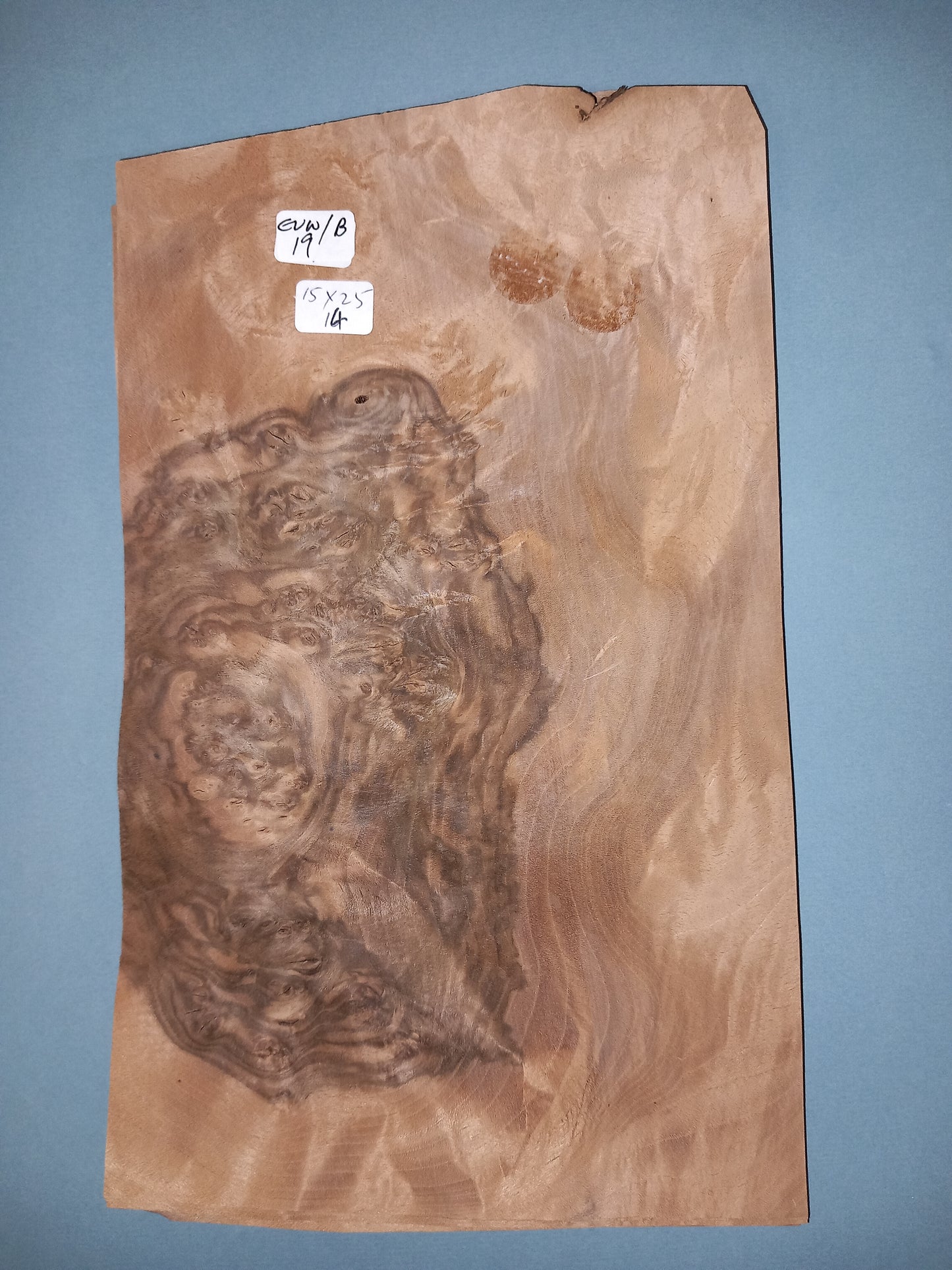CONSECUTIVE SHEETS OF EUROPEAN WALNUT BURR VENEER 15 X 25 CM