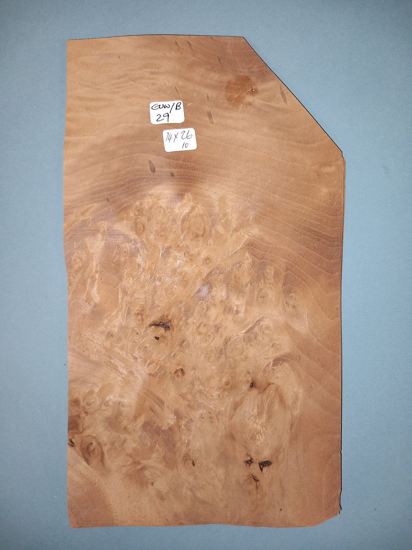 CONSECUTIVE SHEETS OF EUROPEAN WALNUT BURR VENEER 14 X 26 CM