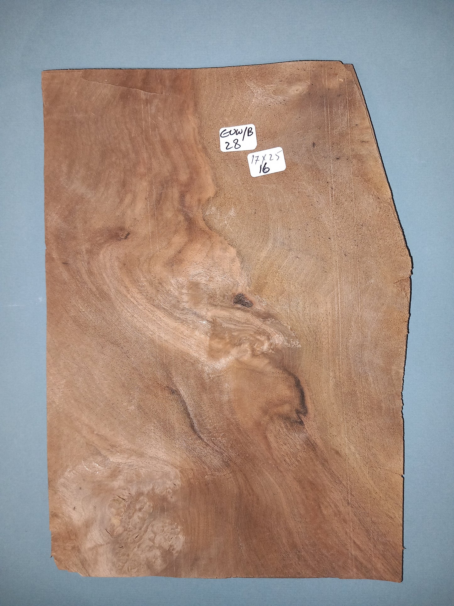 CONSECUTIVE SHEETS OF EUROPEAN WALNUT BURR VENEER 17 X 25 CM
