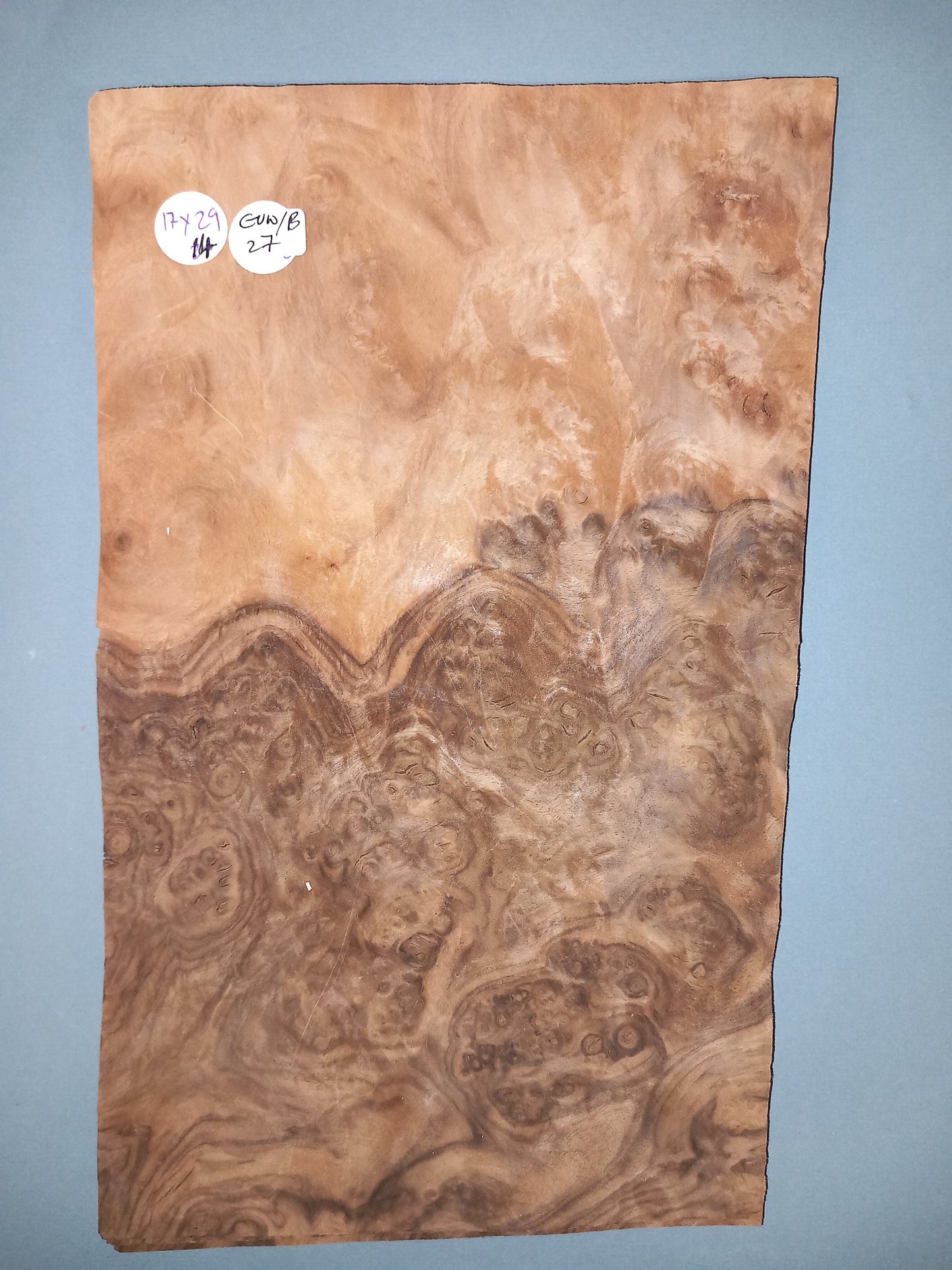 CONSECUTIVE SHEETS OF EUROPEAN WALNUT BURR VENEER 17 X 29 CM