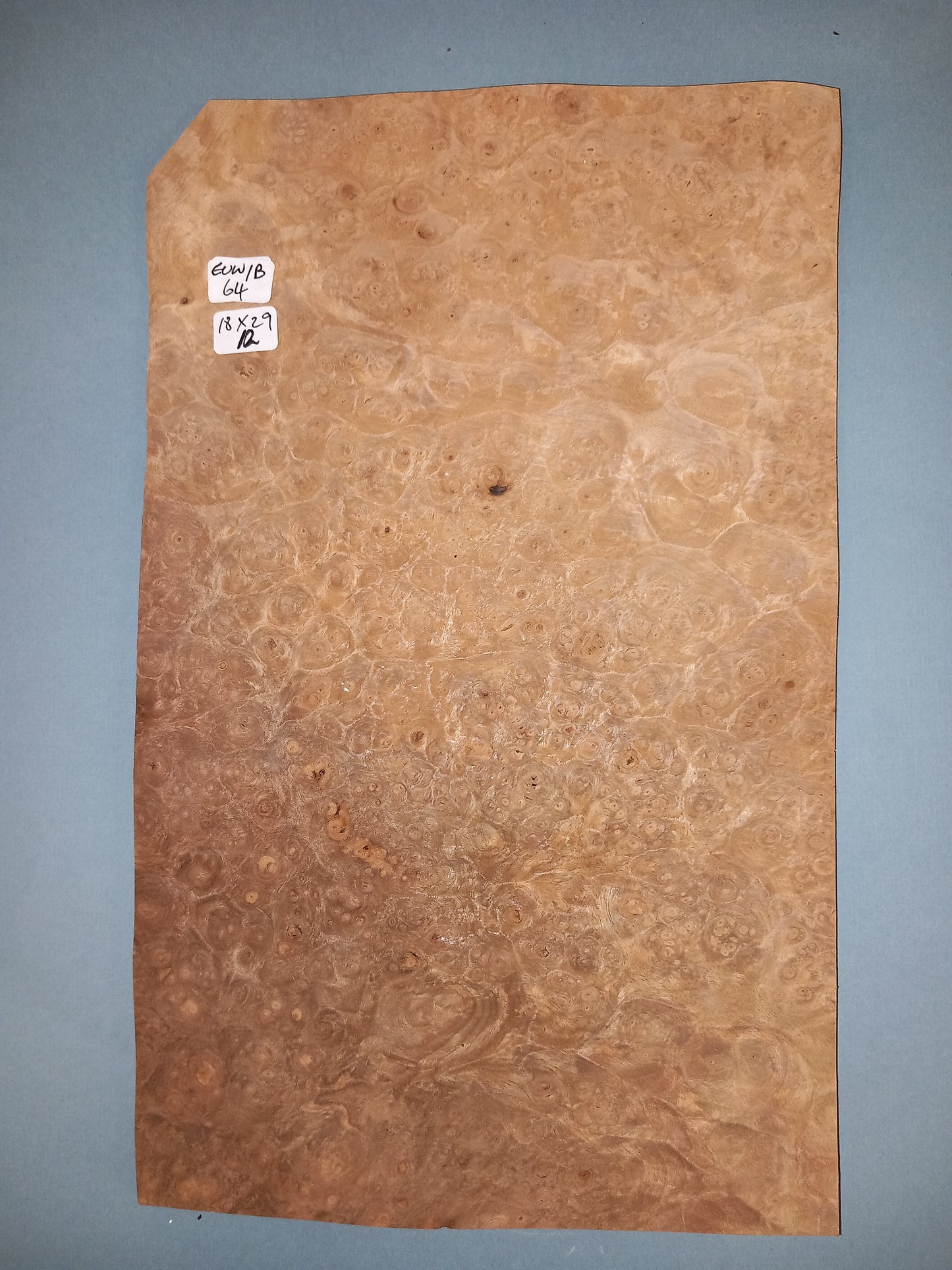CONSECUTIVE SHEETS OF EUROPEAN WALNUT BURR VENEER 18 X 29 CM