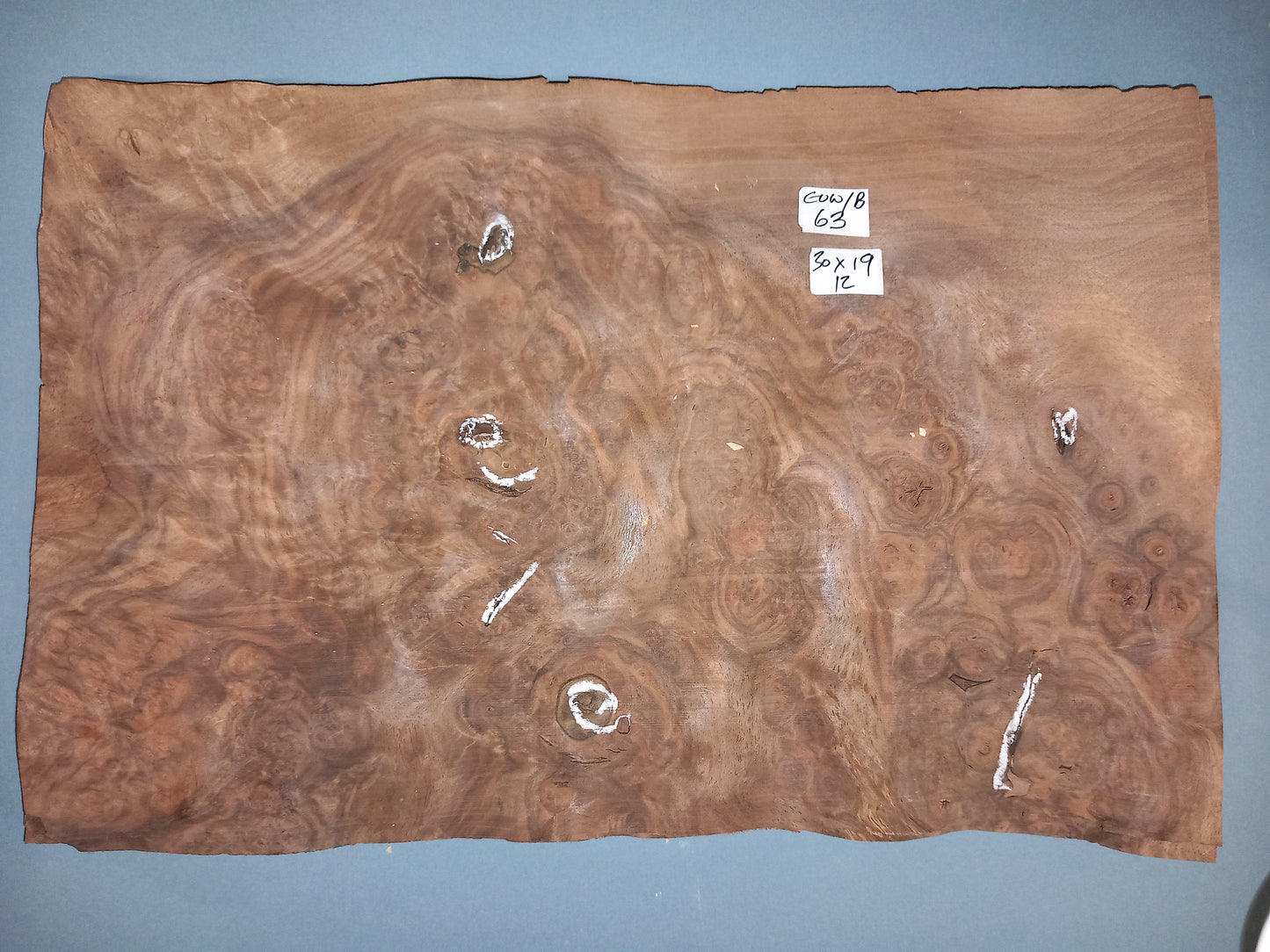 CONSECUTIVE SHEETS OF EUROPEAN WALNUT BURR VENEER 30 X 19 CM