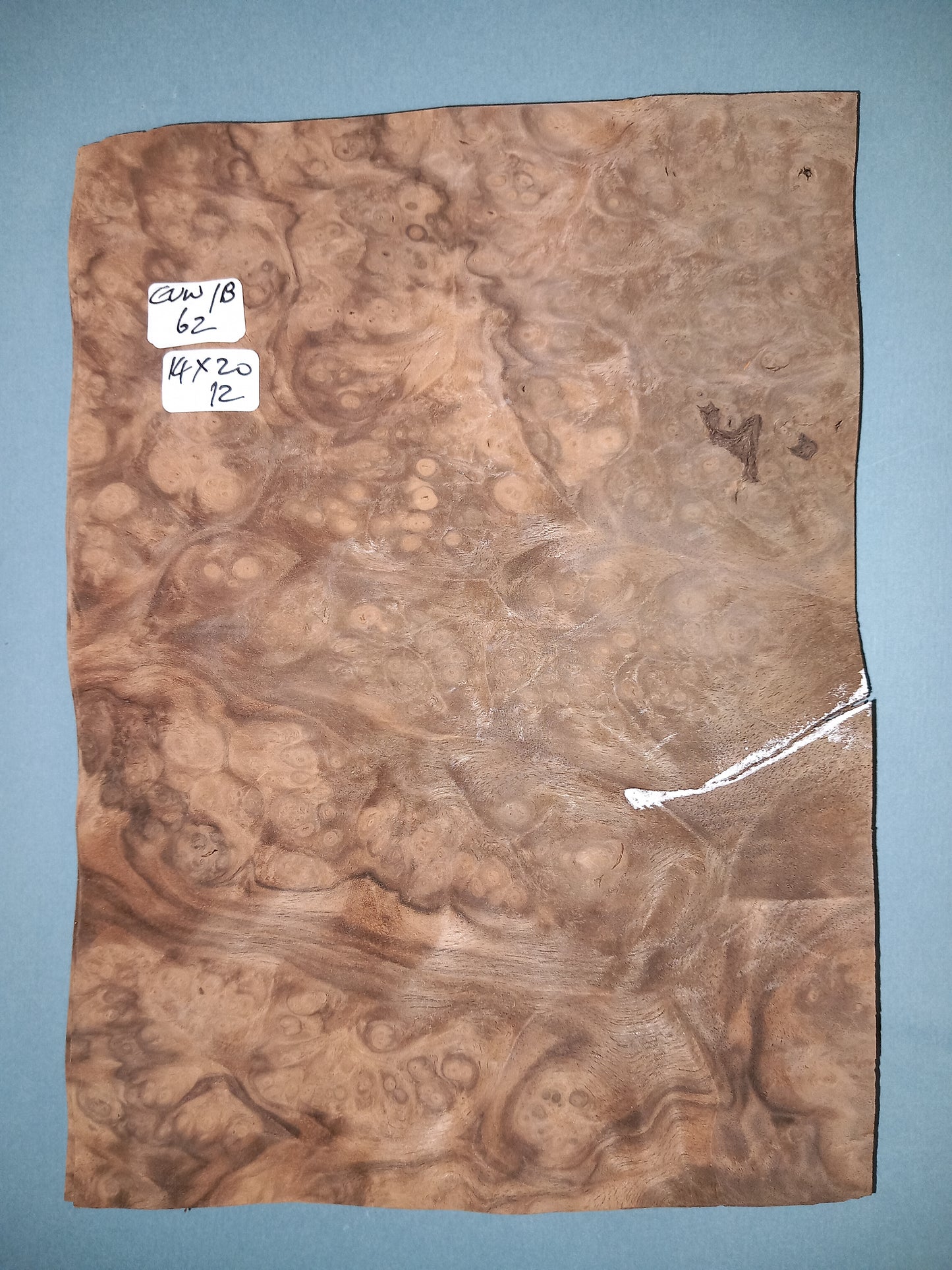 CONSECUTIVE SHEETS OF EUROPEAN WALNUT BURR VENEER 14 X 20 CM