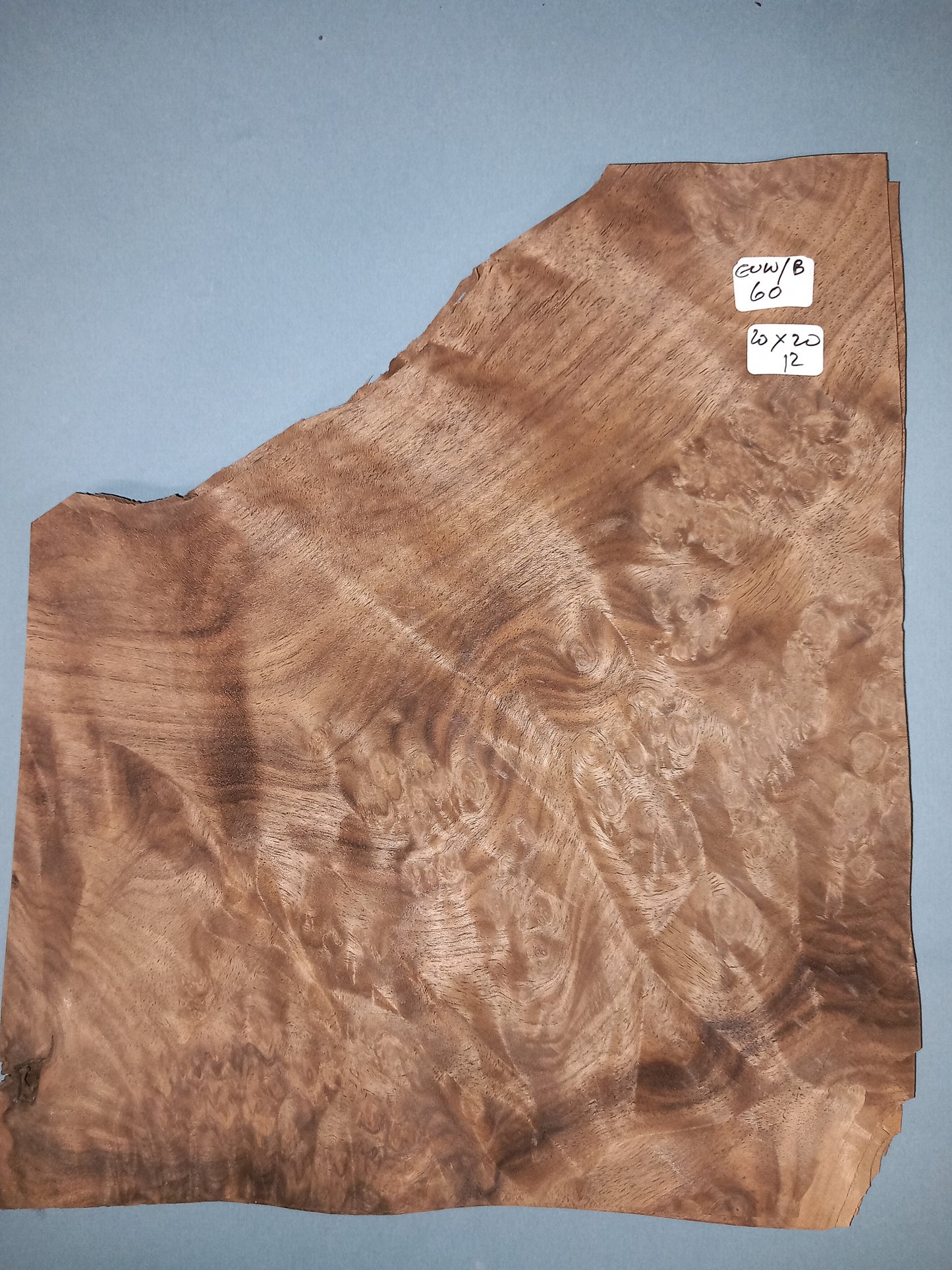 CONSECUTIVE SHEETS OF EUROPEAN WALNUT BURR VENEER 20 X 20 CM
