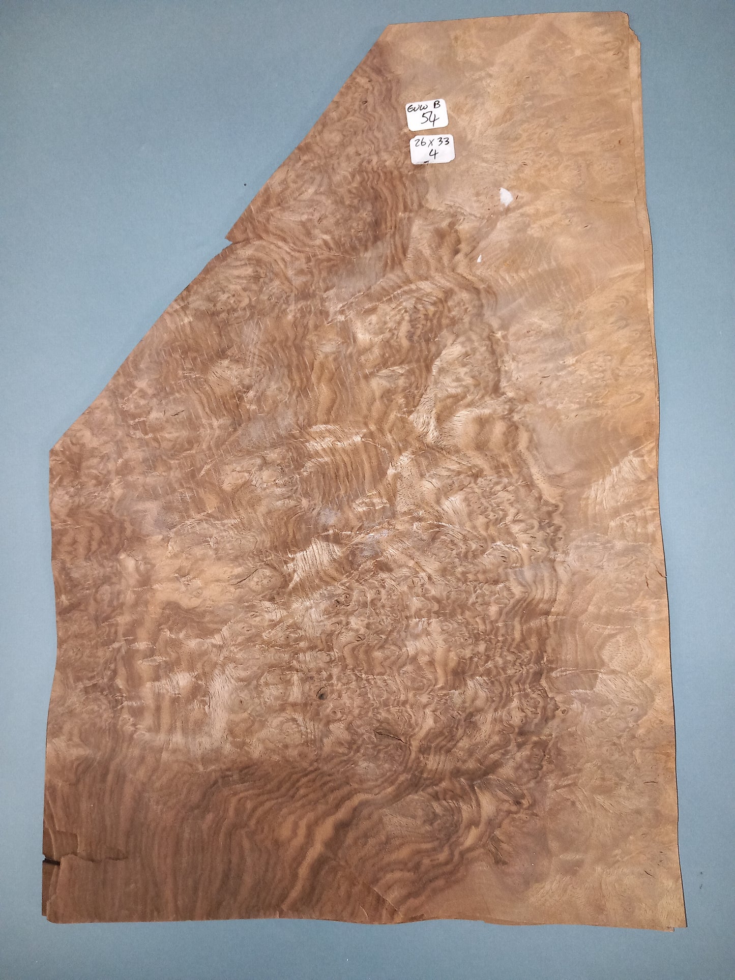 CONSECUTIVE SHEETS OF EUROPEAN WALNUT BURR VENEER 26 X 33 CM