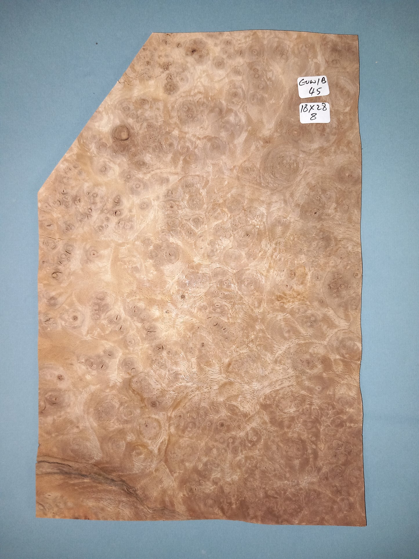 CONSECUTIVE SHEETS OF EUROPEAN WALNUT BURR VENEER 18 X 28 CM