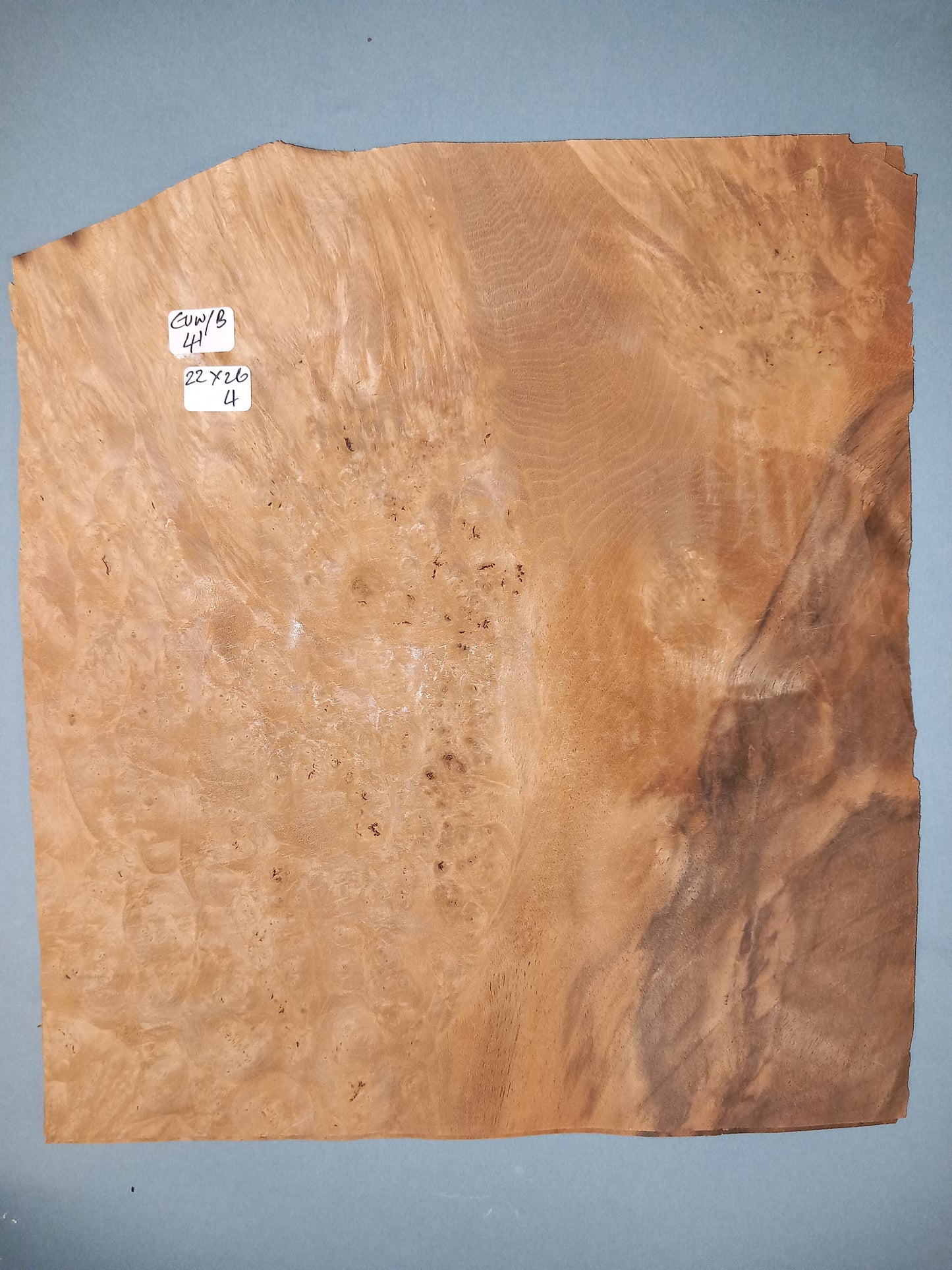 CONSECUTIVE SHEETS OF EUROPEAN WALNUT BURR VENEER 22 X 26 CM