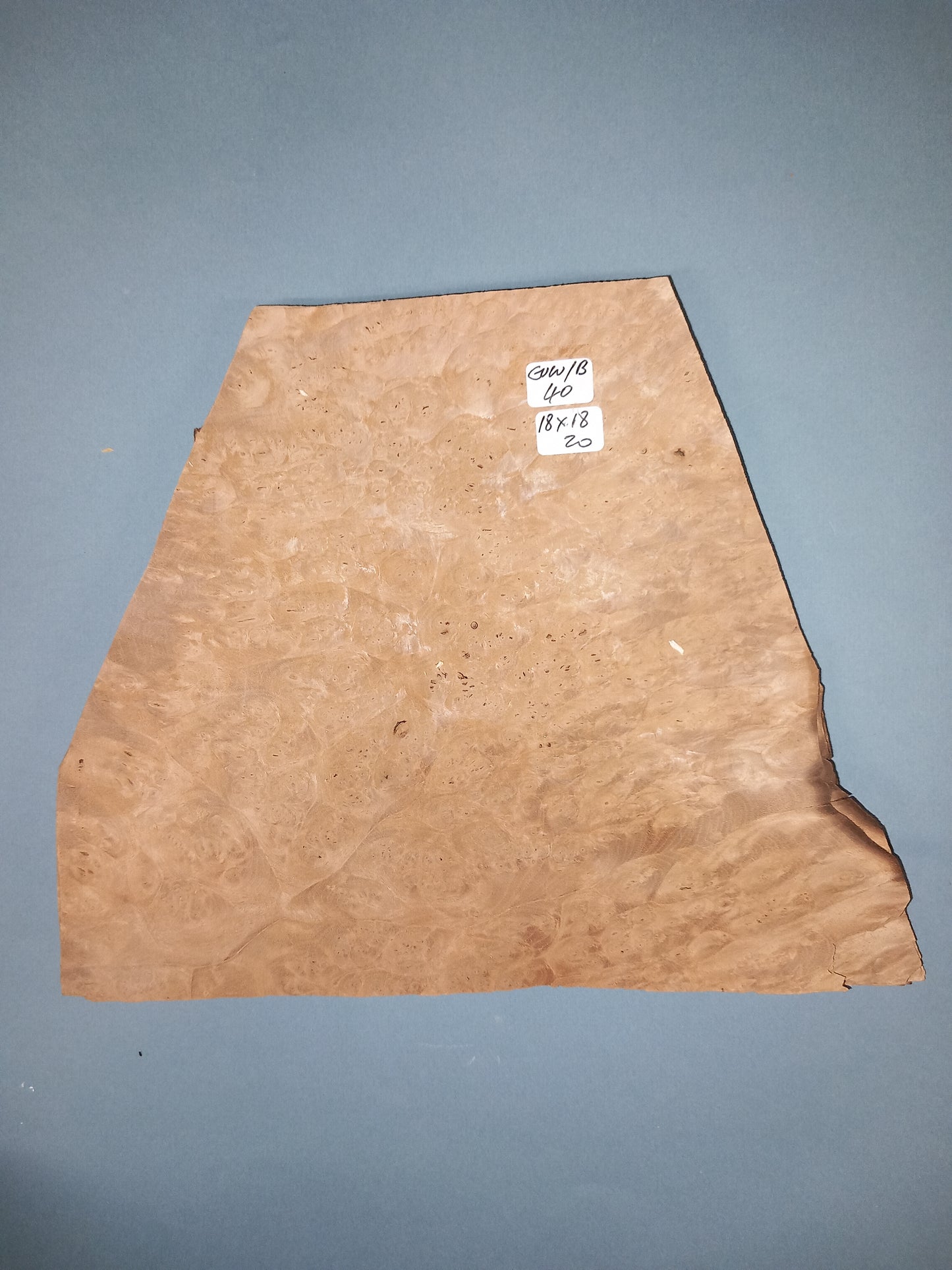 CONSECUTIVE SHEETS OF EUROPEAN WALNUT BURR VENEER 18 X 18 CM