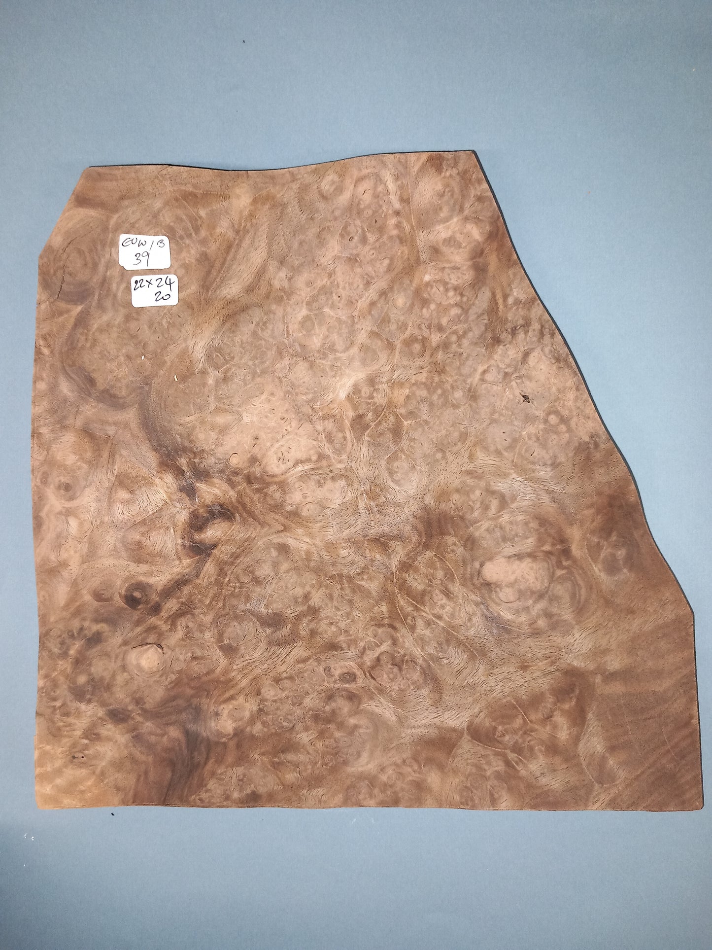 CONSECUTIVE SHEETS OF EUROPEAN WALNUT BURR VENEER 22 X 24 CM