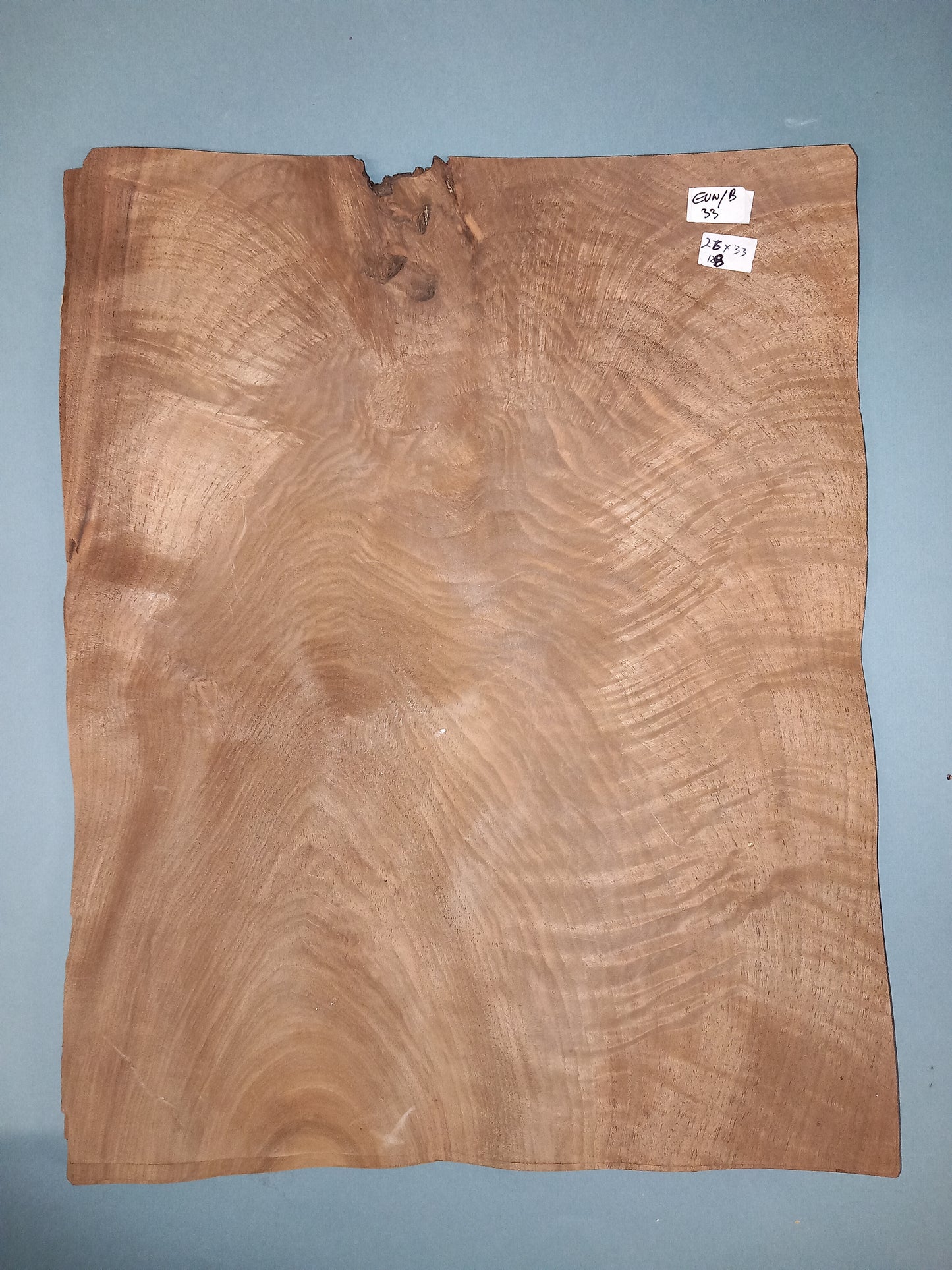 CONSECUTIVE SHEETS OF EUROPEAN WALNUT BURR VENEER 25 X 33 CM