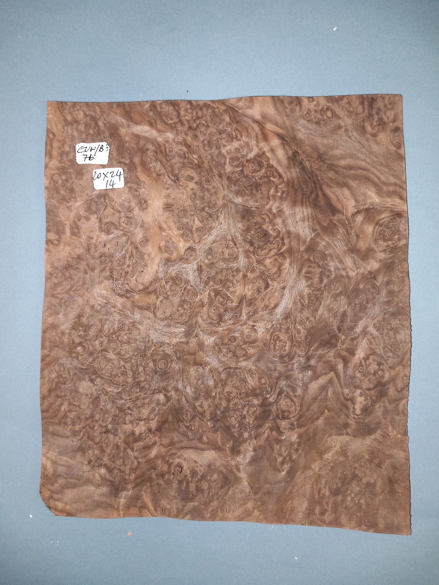 CONSECUTIVE SHEETS OF EUROPEAN WALNUT BURR VENEER 20 X 24 CM