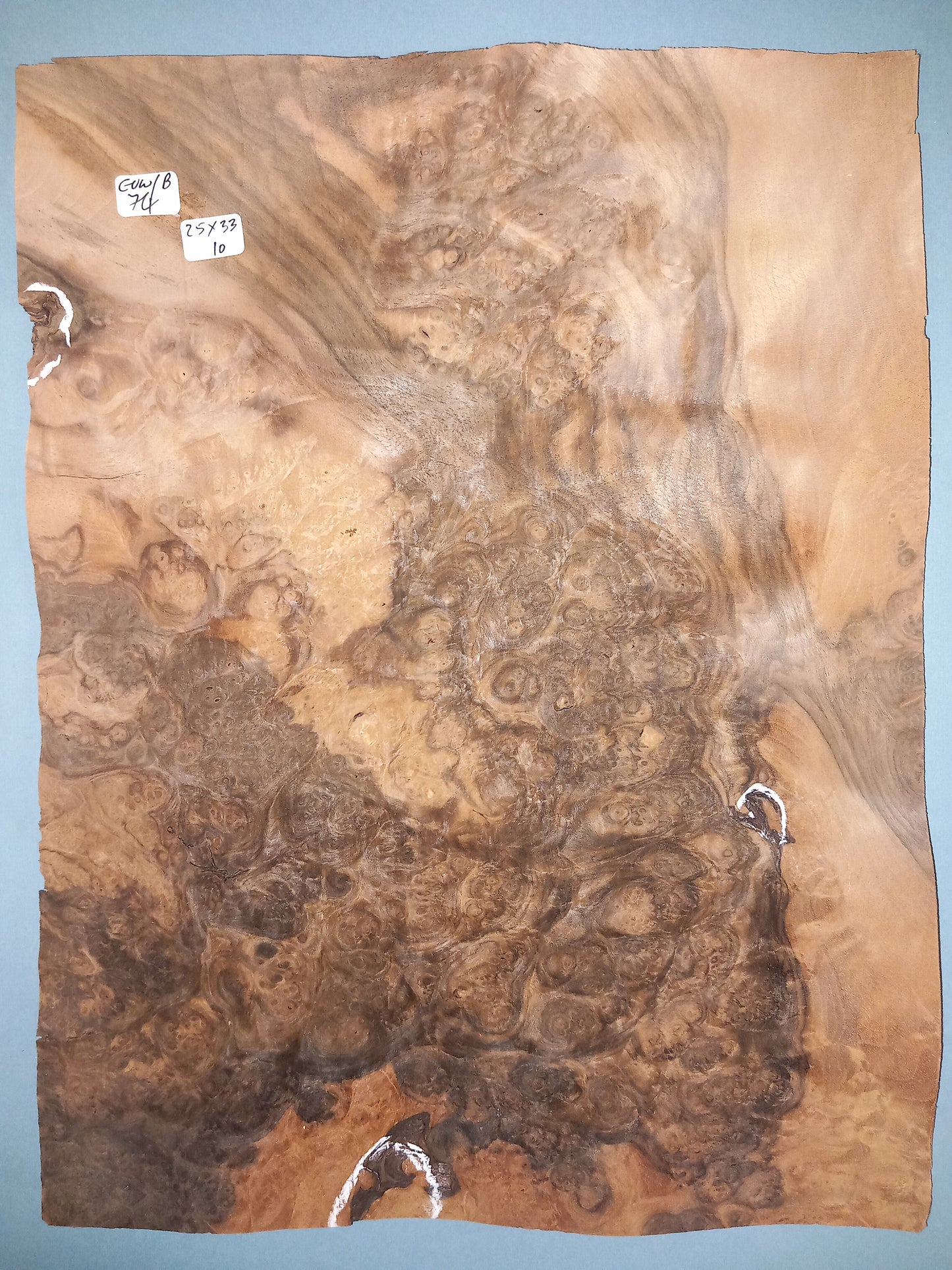 CONSECUTIVE SHEETS OF EUROPEAN WALNUT BURR VENEER 25 X 33 CM