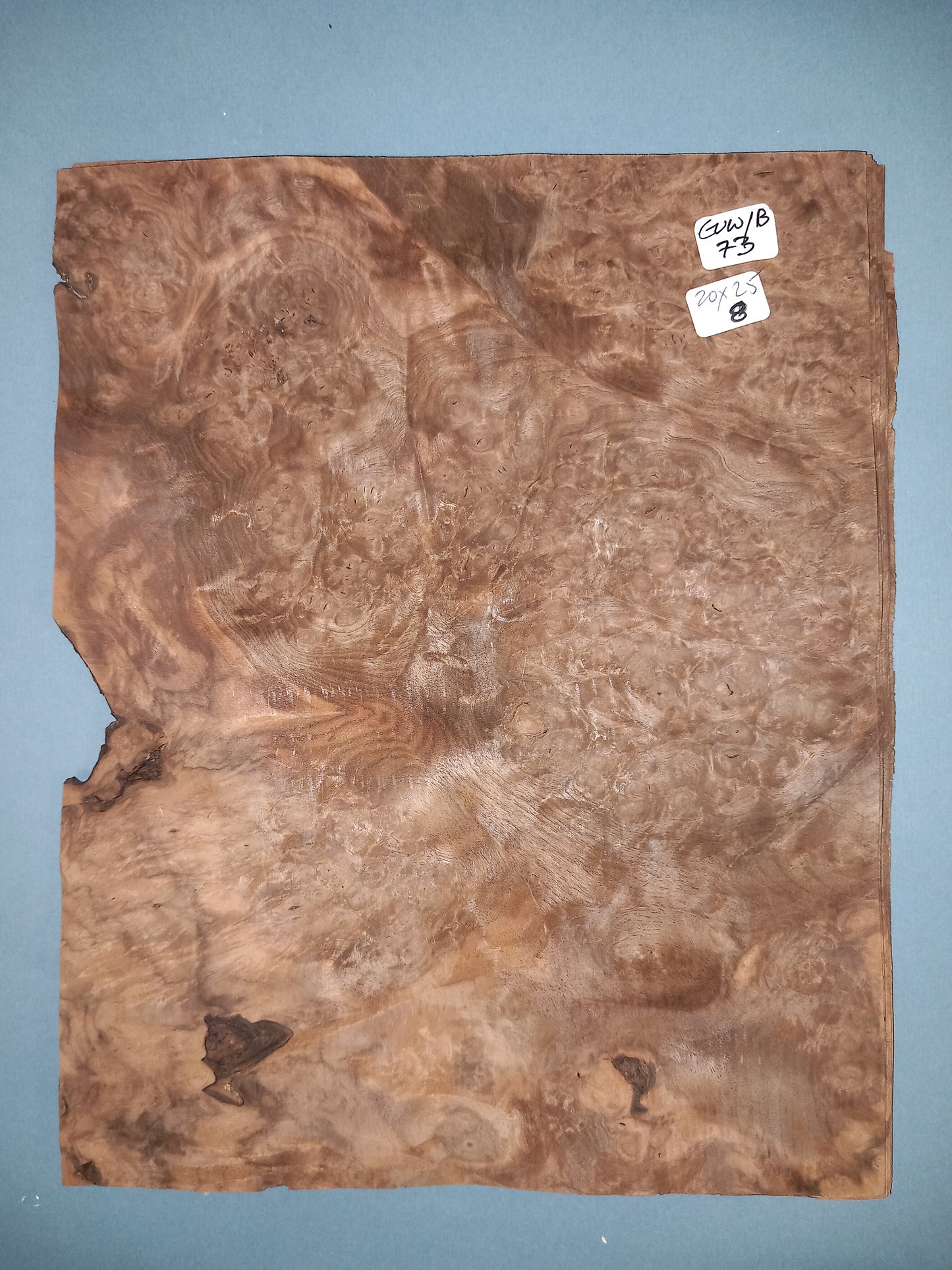 CONSECUTIVE SHEETS OF EUROPEAN WALNUT BURR VENEER 20 X 25 CM