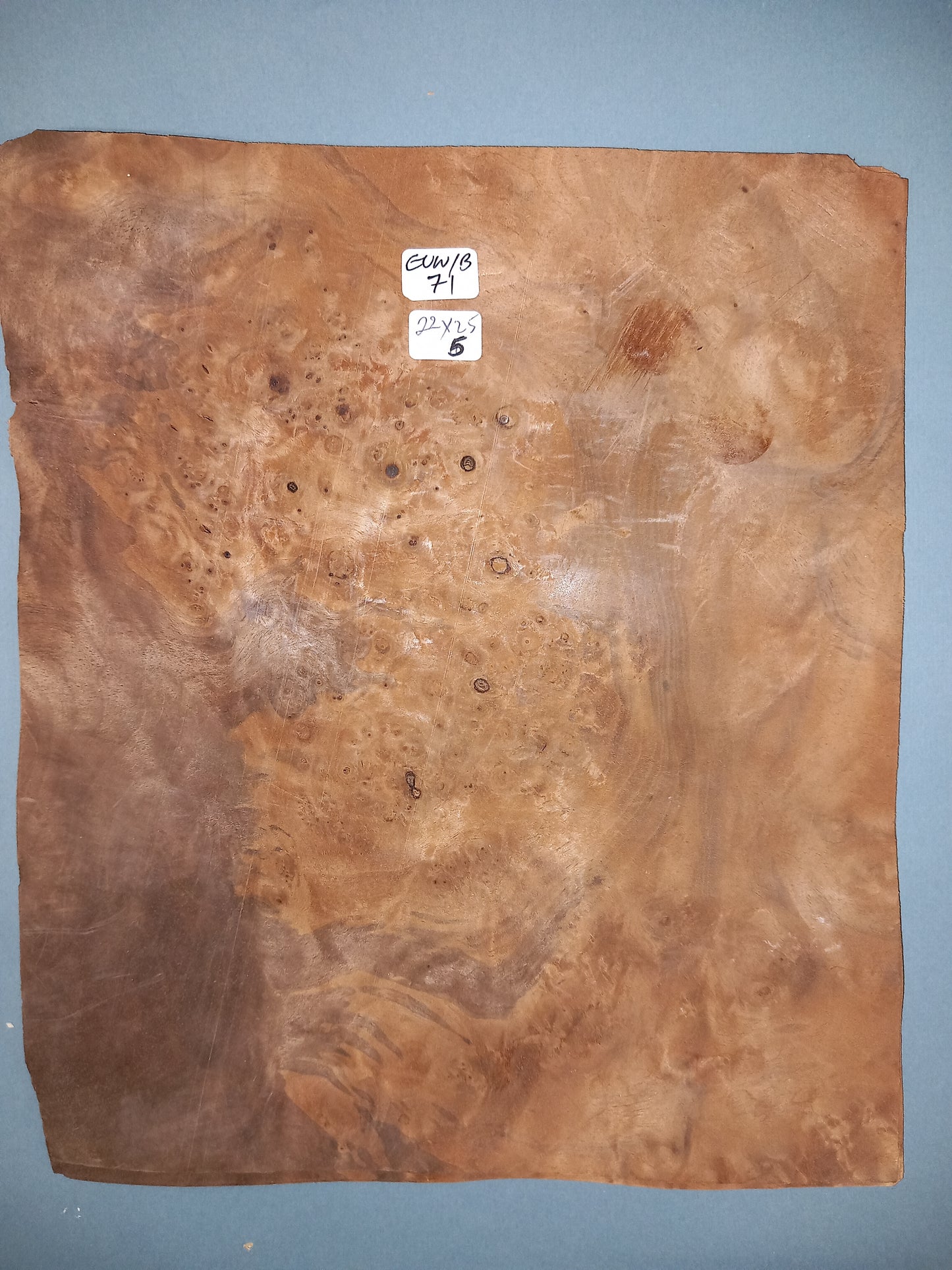 CONSECUTIVE SHEETS OF EUROPEAN WALNUT BURR VENEER 22 X 25 CM