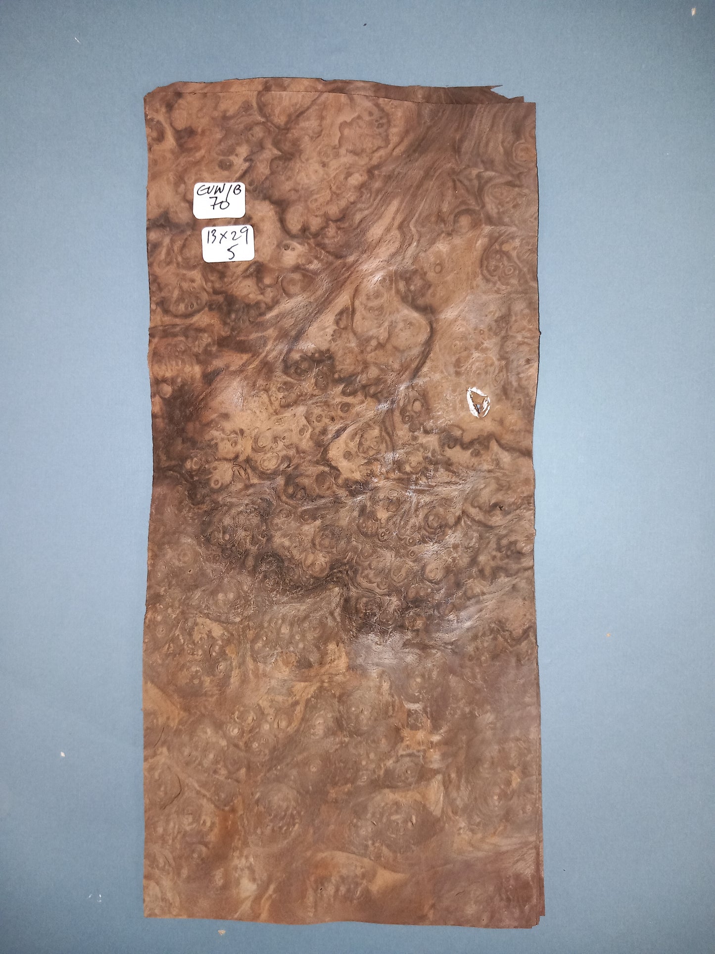 CONSECUTIVE SHEETS OF EUROPEAN WALNUT BURR VENEER 13 X 29 CM