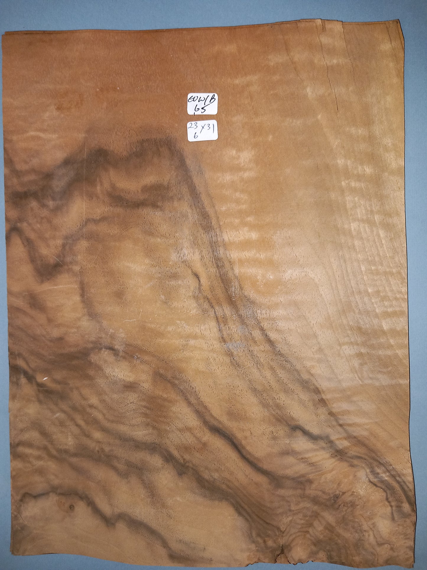 CONSECUTIVE SHEETS OF EUROPEAN WALNUT BURR VENEER 23 X 31 CM