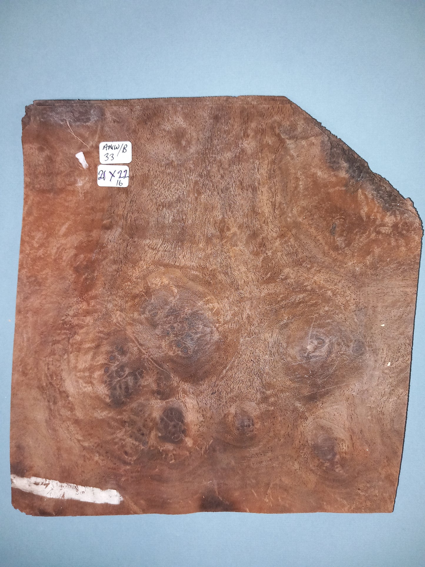CONSECUTIVE SHEETS OF AMERICAN WALNUT BURR VENEER 21 X 22 CM