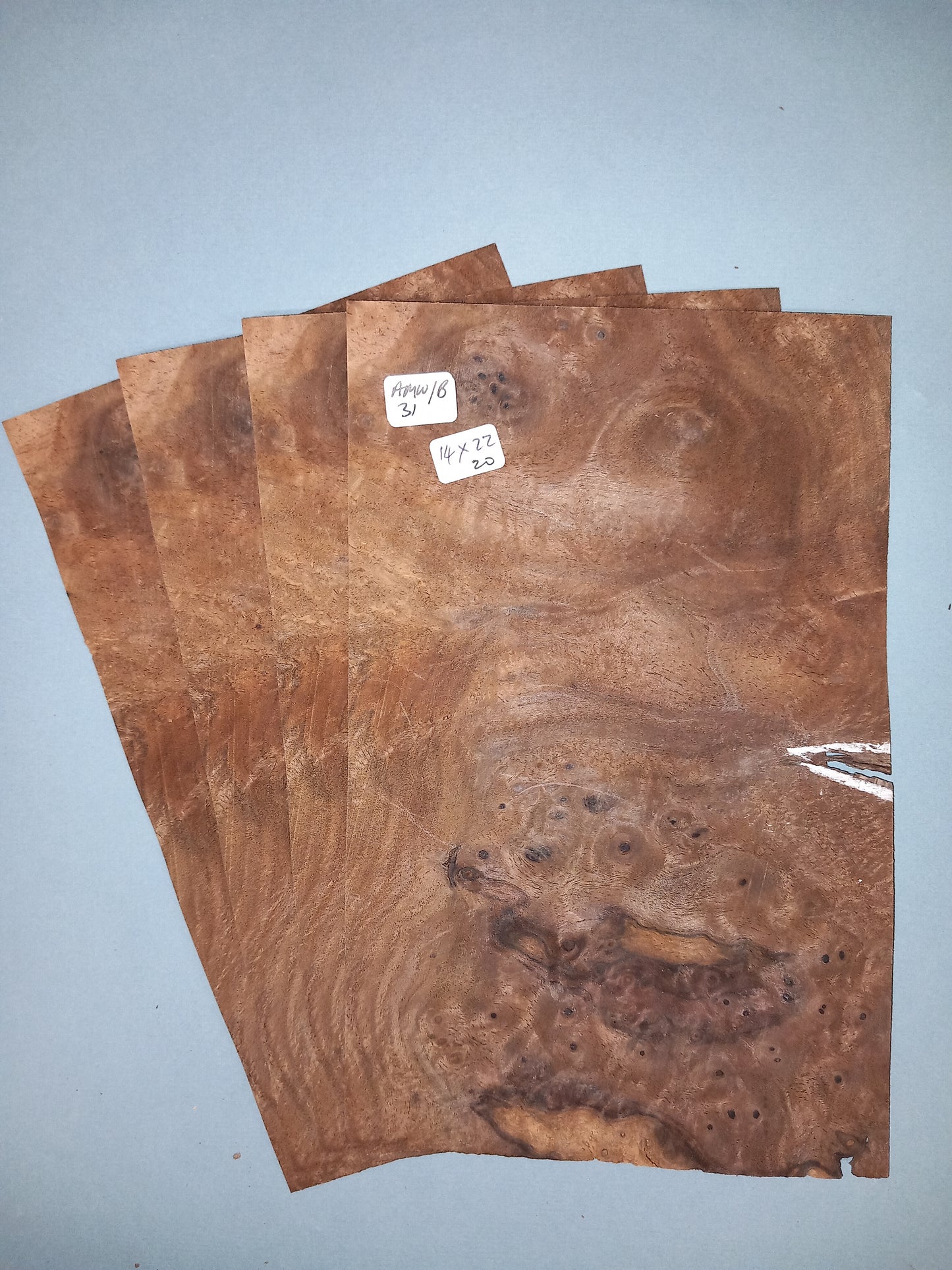 4 CONSECUTIVE SHEETS OF AMERICAN WALNUT BURR VENEER 14 X 22 CM