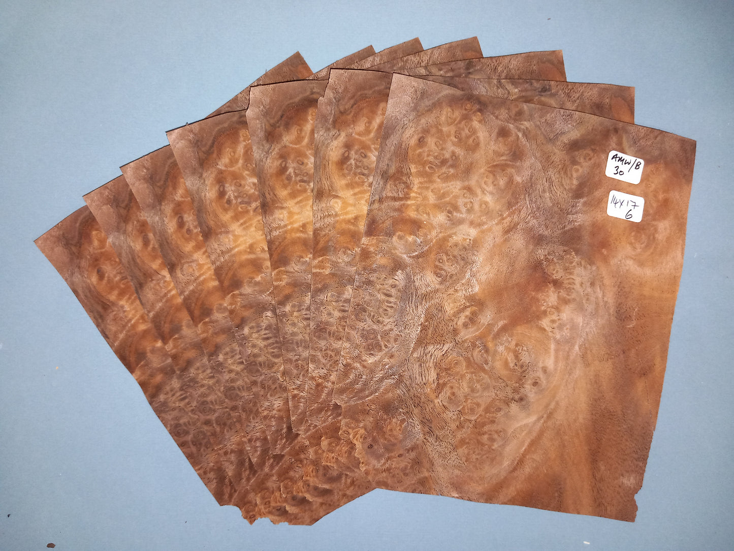 6 CONSECUTIVE SHEETS OF AMERICAN WALNUT BURR VENEER 14 X 17 CM