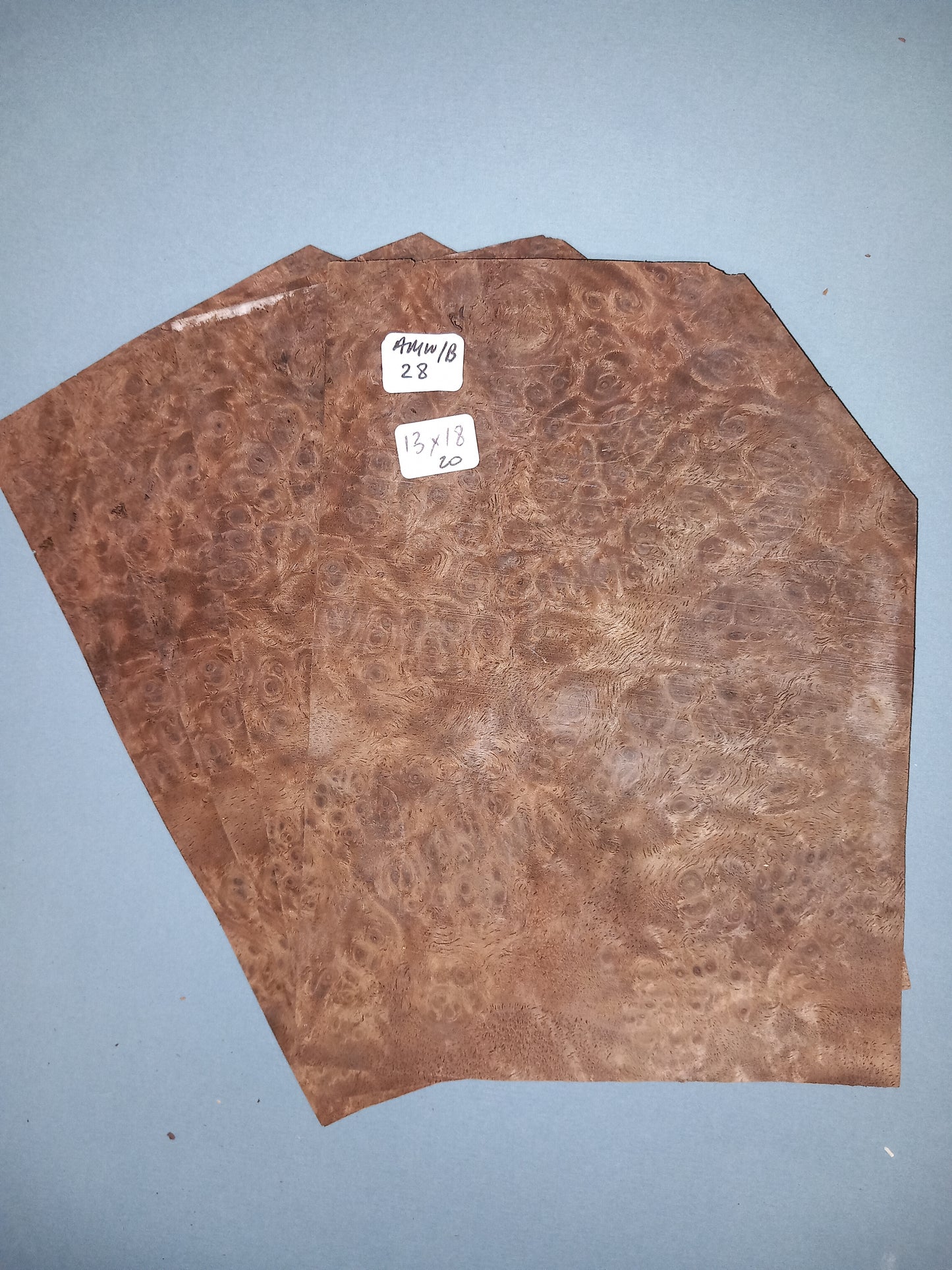 4 CONSECUTIVE SHEETS OF AMERICAN WALNUT BURR VENEER 13 X 18 CM